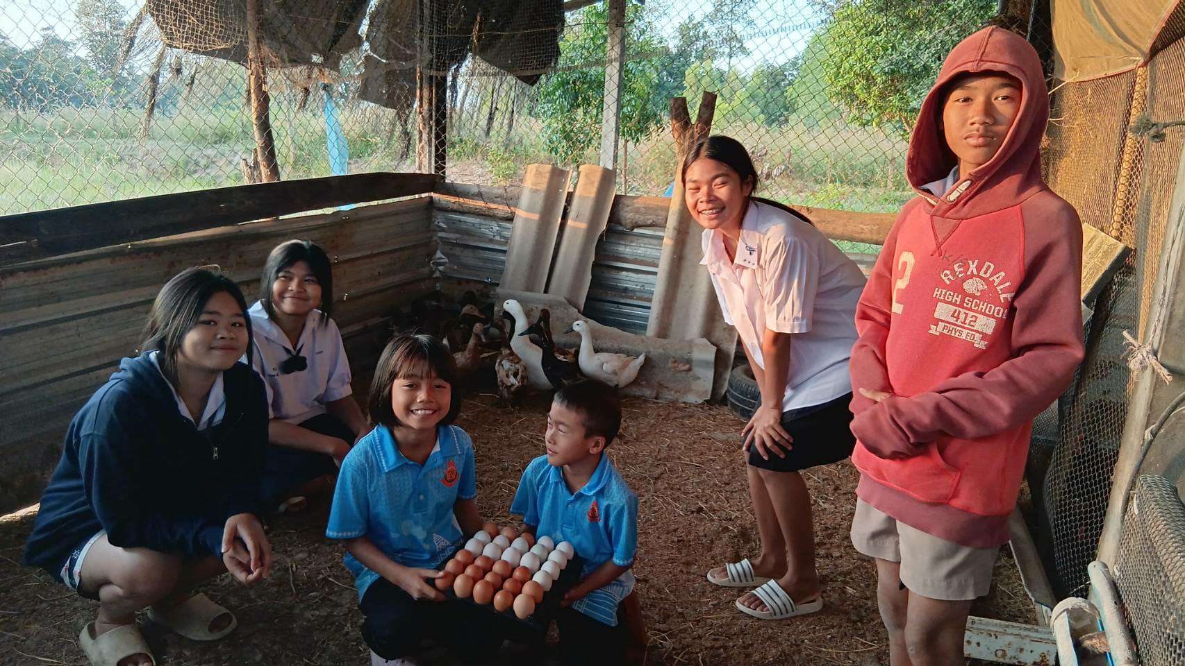 The joy of eating pesticide-free eggs.