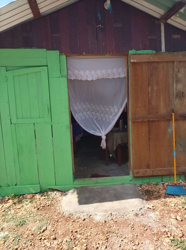 Four Little Ones and a Brave Mother