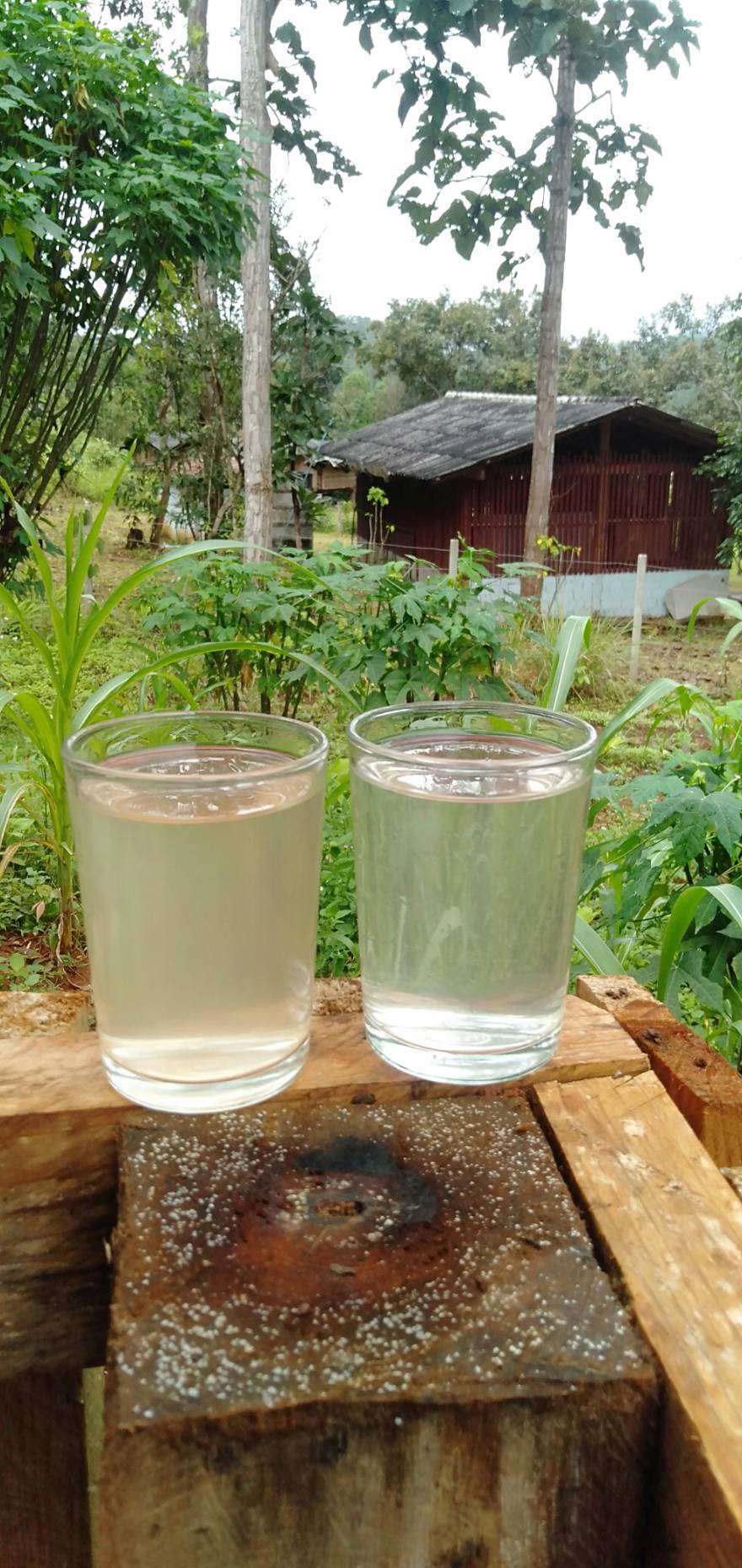 Drinking water that has not been filtered will be cloudy.