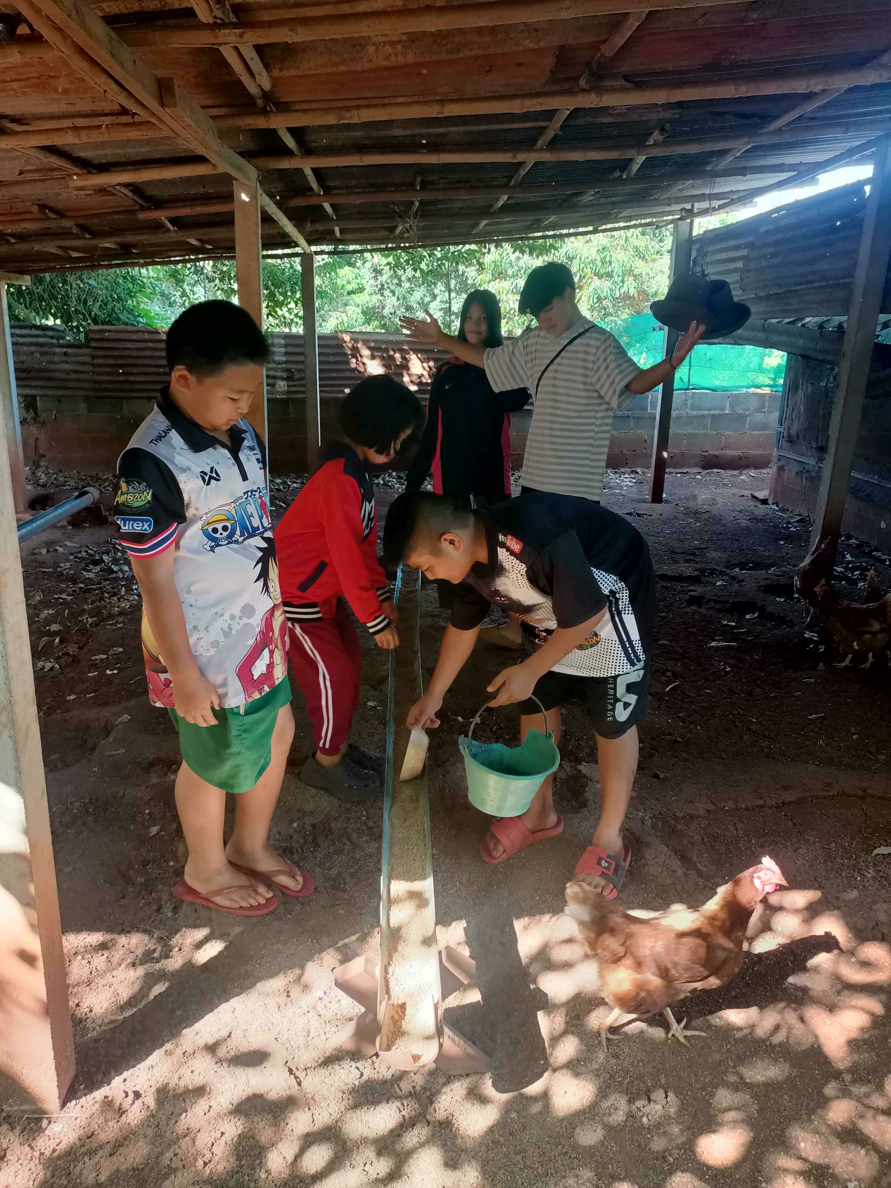 Teamwork in Action: Children and families gather at the church to feed the chickens twice a day, fostering responsibility and care!