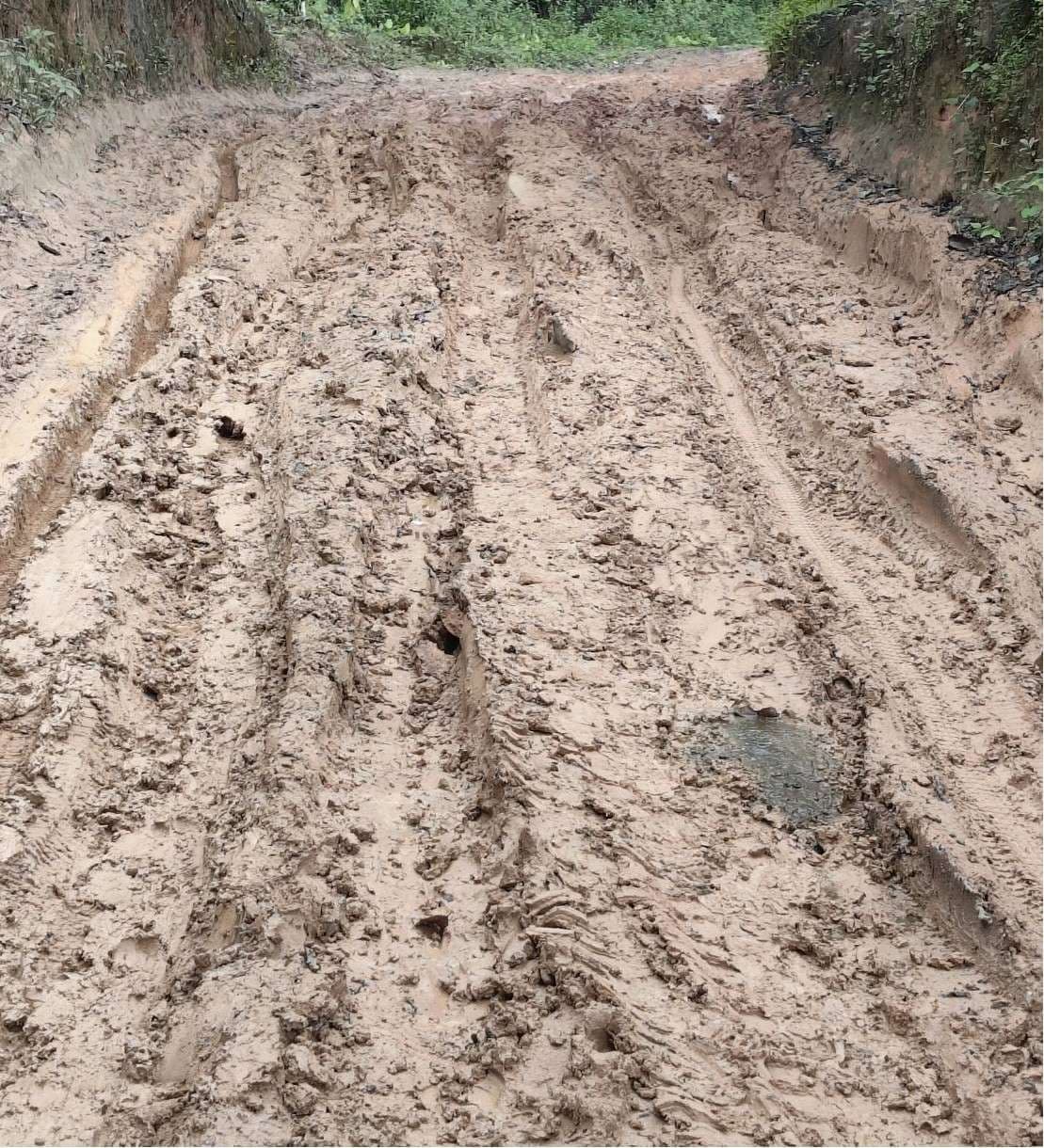 The "Safe Roads for Children: Transforming Risky Routes into Paths for a Better Future" project.
