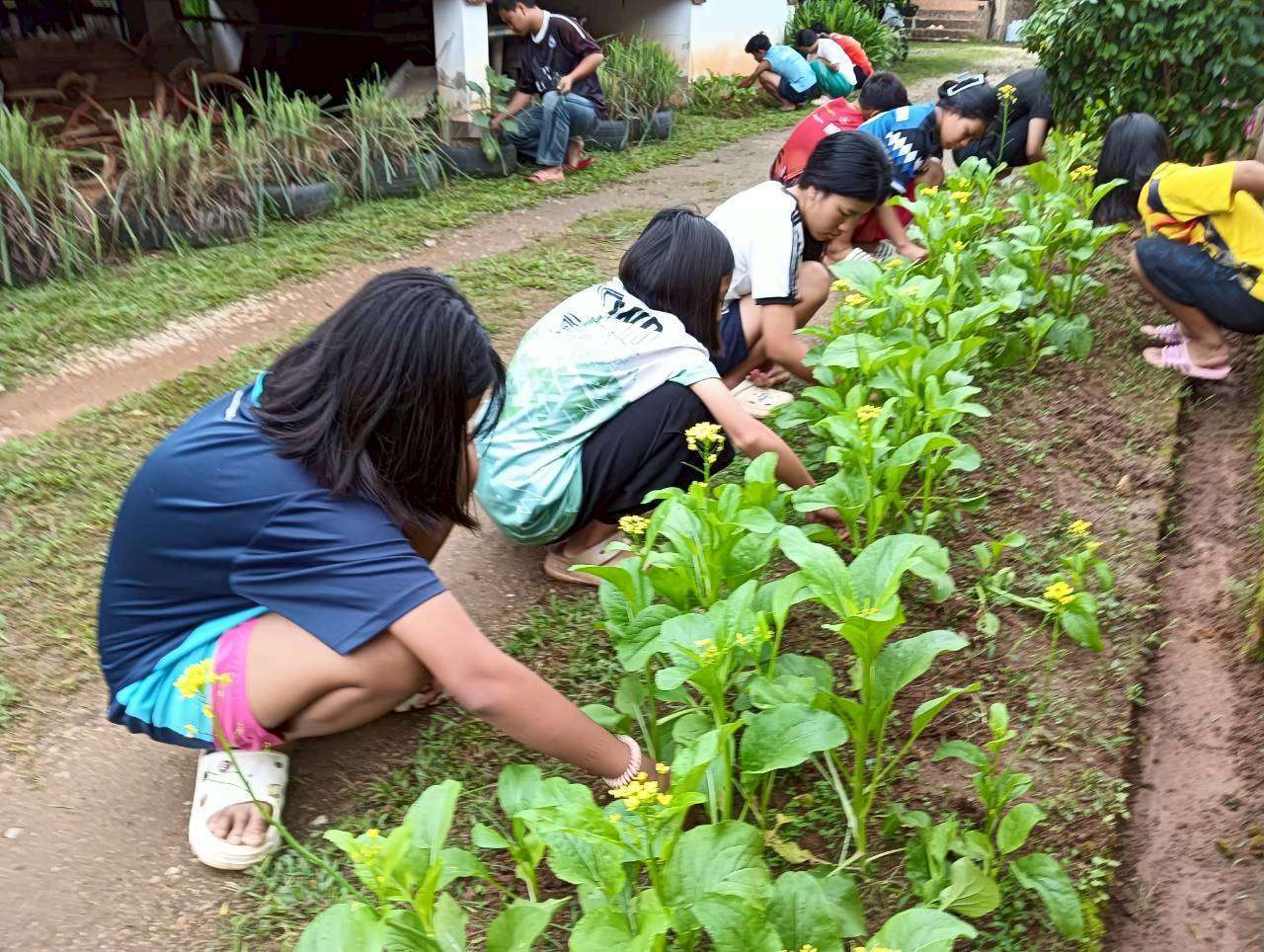 The children help take care of the vegetable garden.