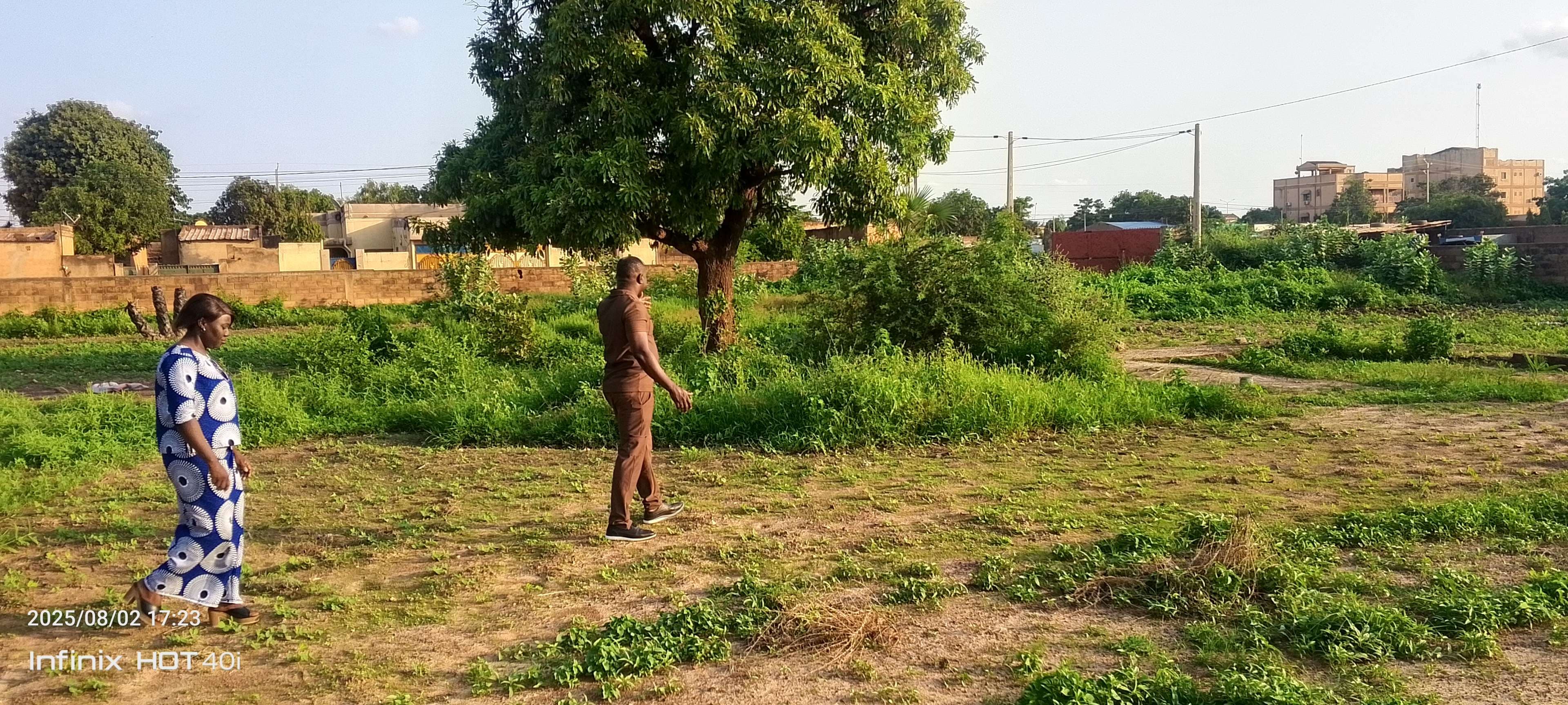 the breeding site