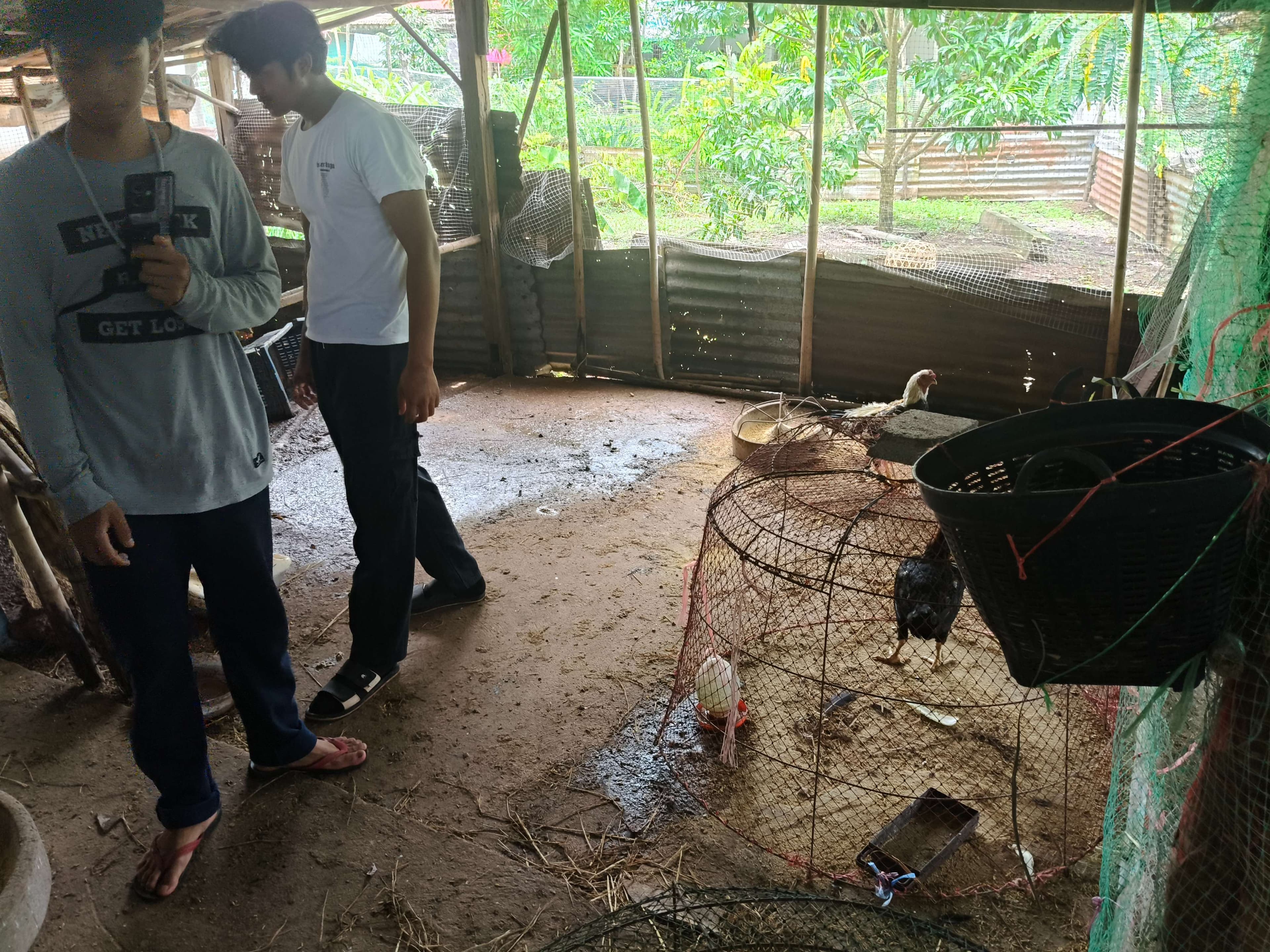 Smart Chicken Farmers