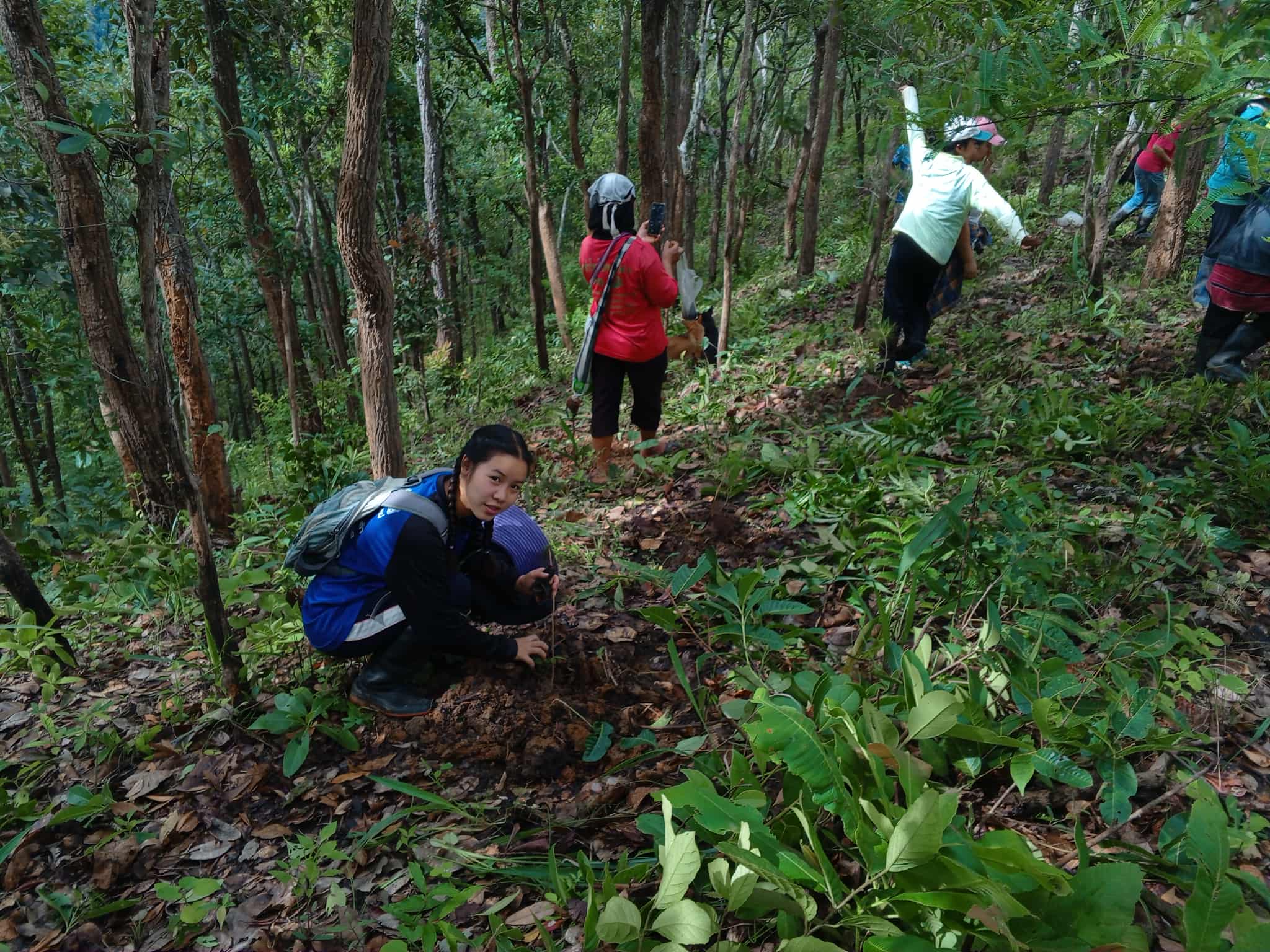 Children and parents plant trees in the headwaters area.