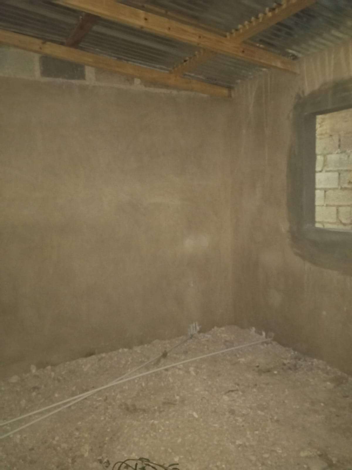 Seven hearts urgently need a home