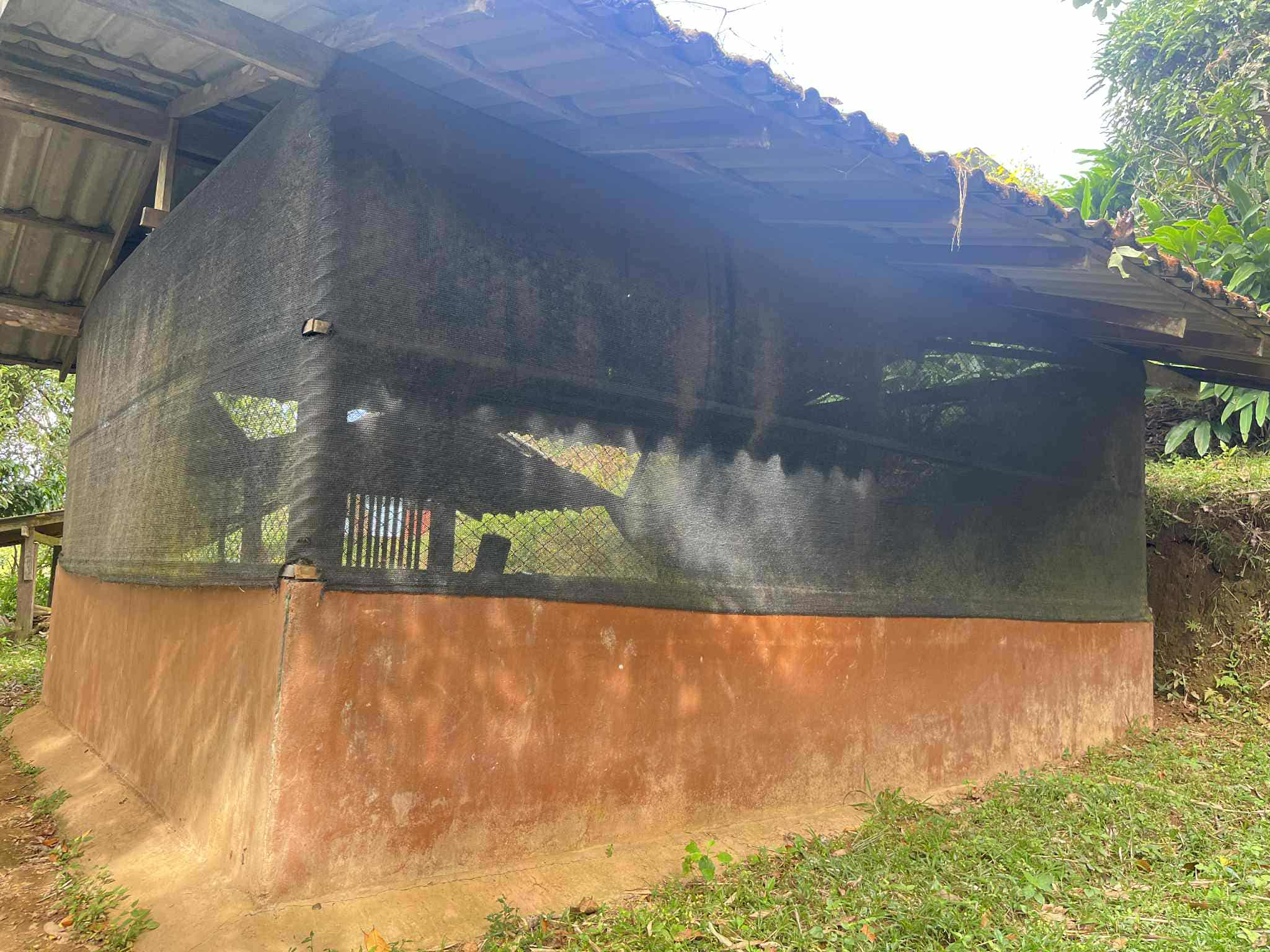 Freshen up needed! The classroom is ready for a new coat of paint to create a brighter and more inviting learning space."