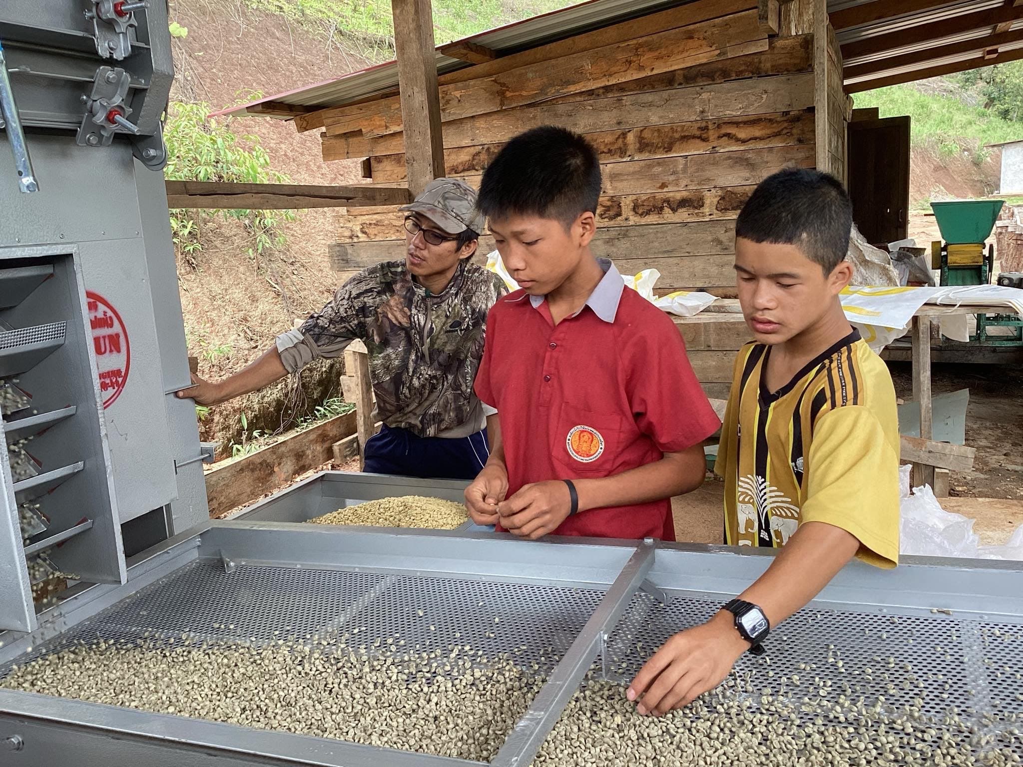 Coffee Training for Youth and Family Income