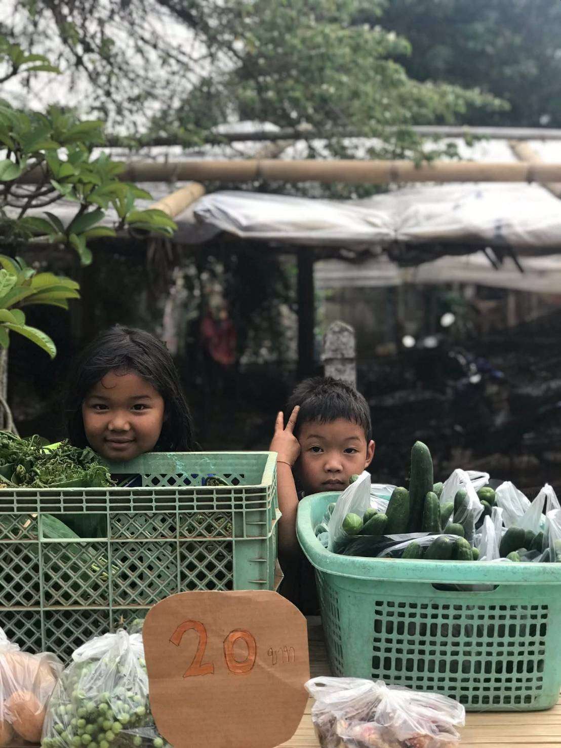 Children learn to arrange produce