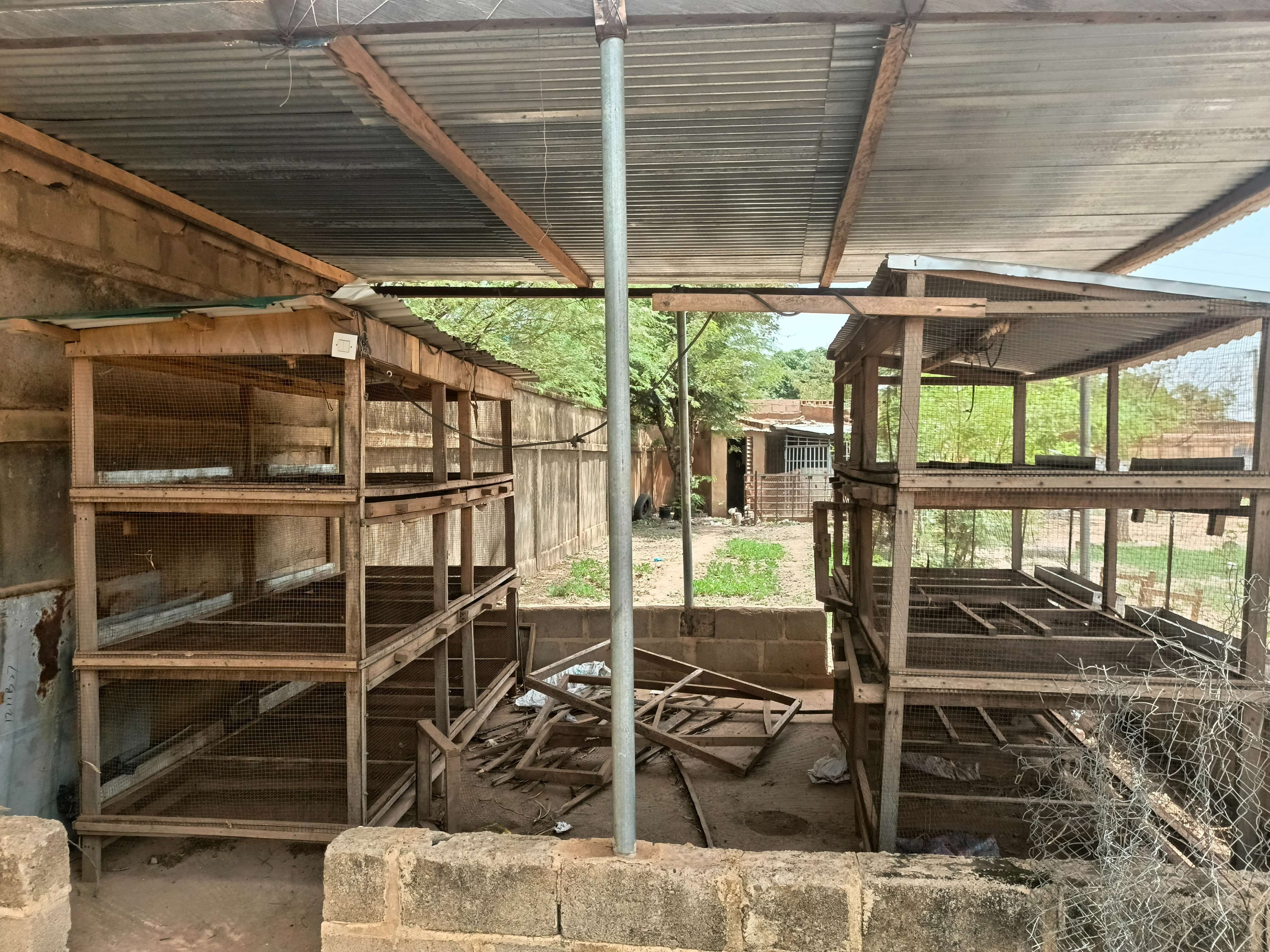 Chicken coops for raising chickens