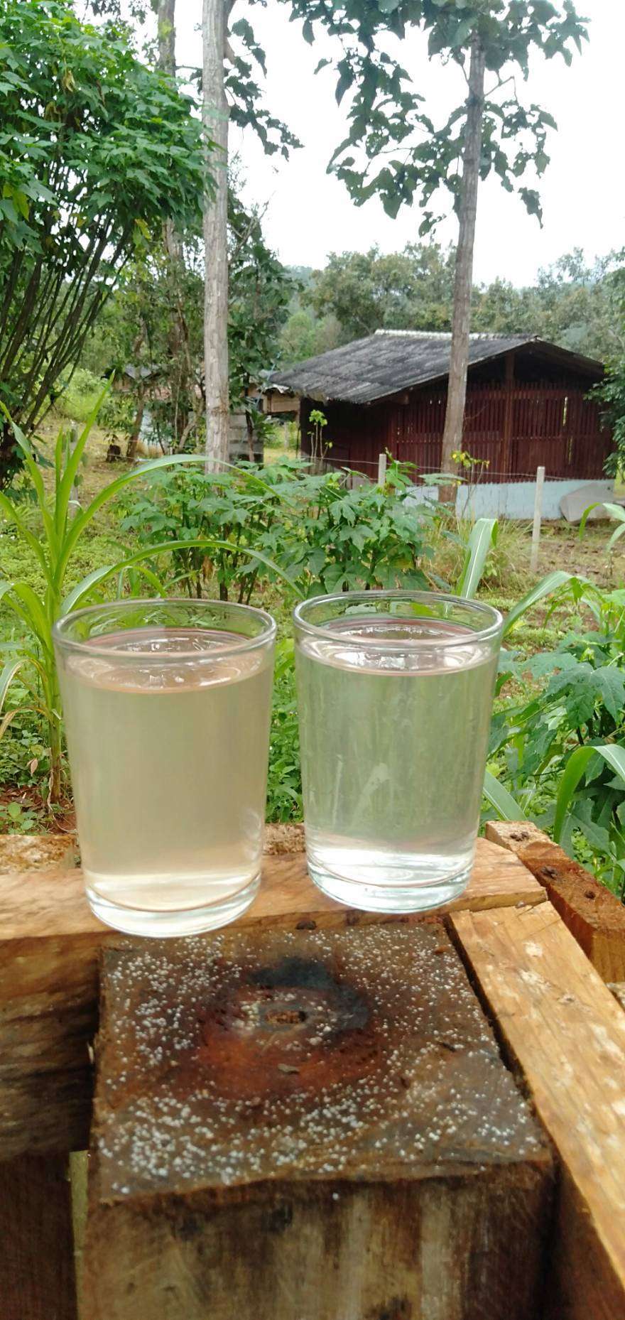 Condition of water that children consume