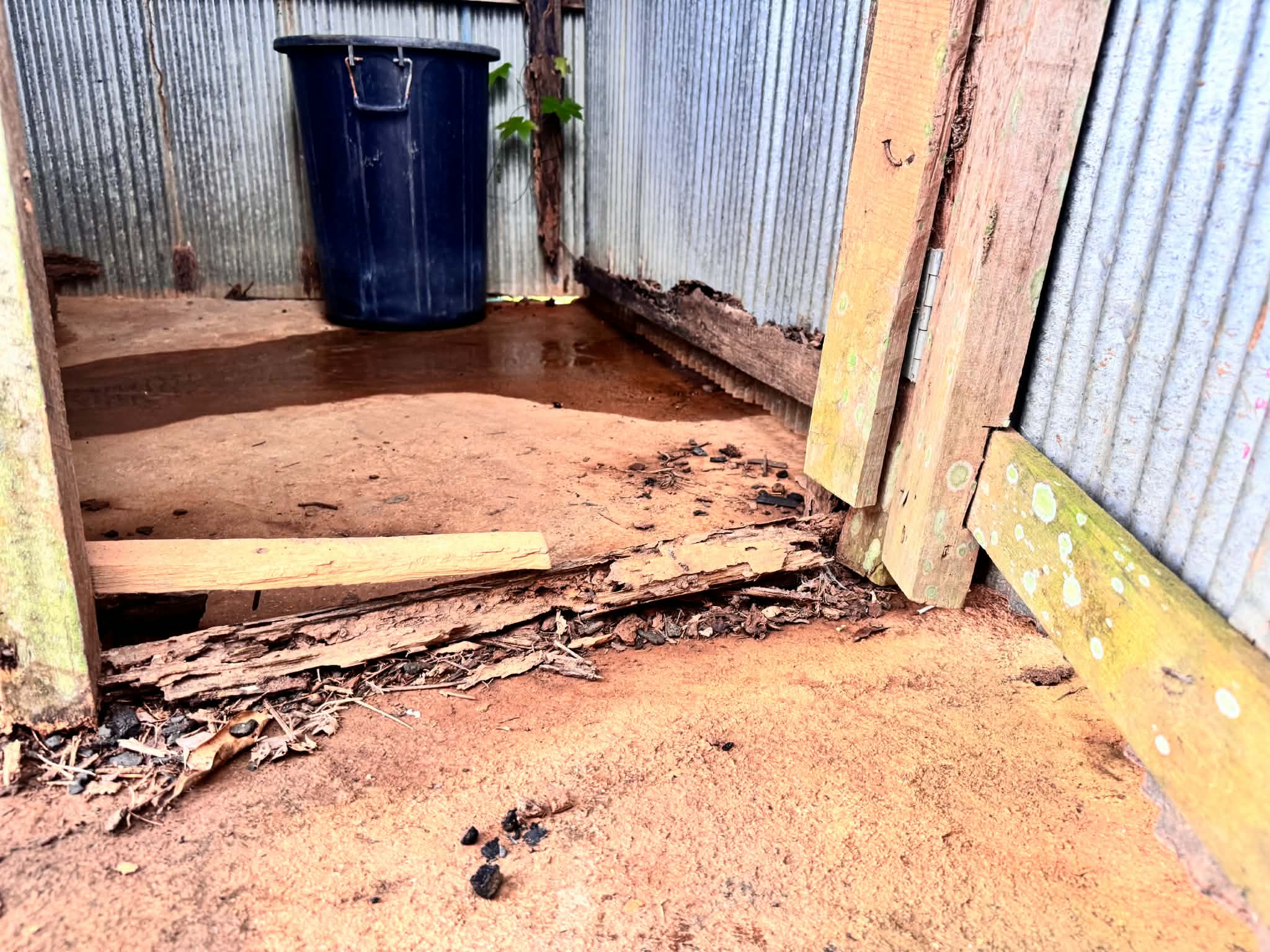 The bathroom was infested with termites.