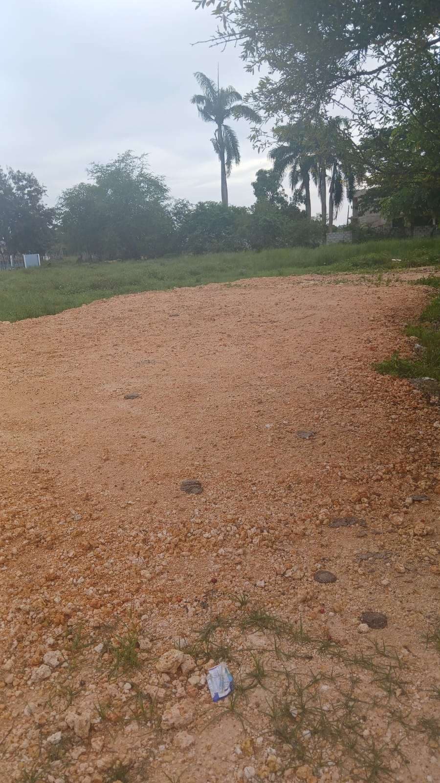 beginnings of the basketball court we begin