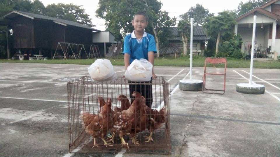 Children in the project receive egg-laying chickens.