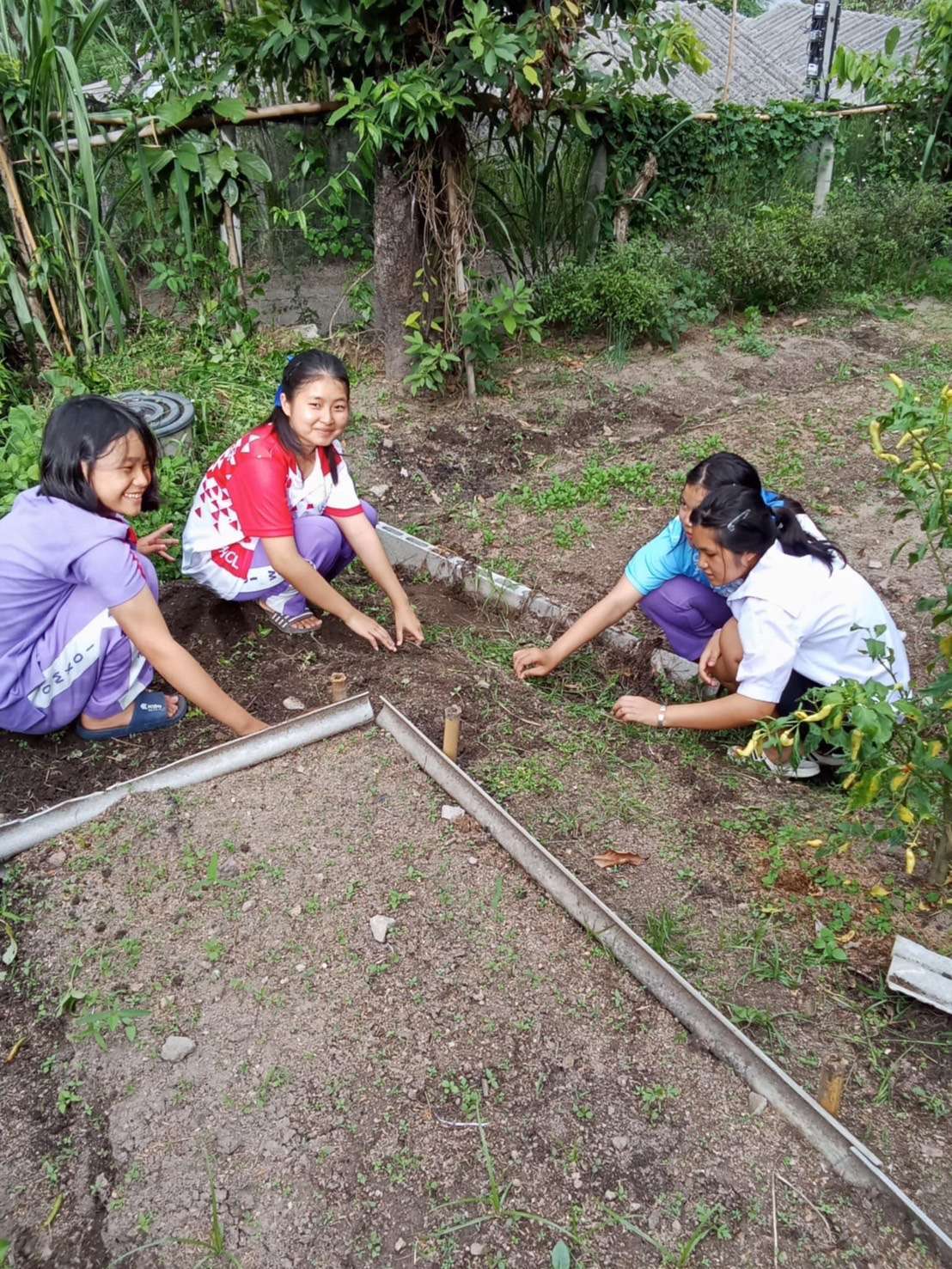 The children at the boarding house love growing vegetables in the garden.