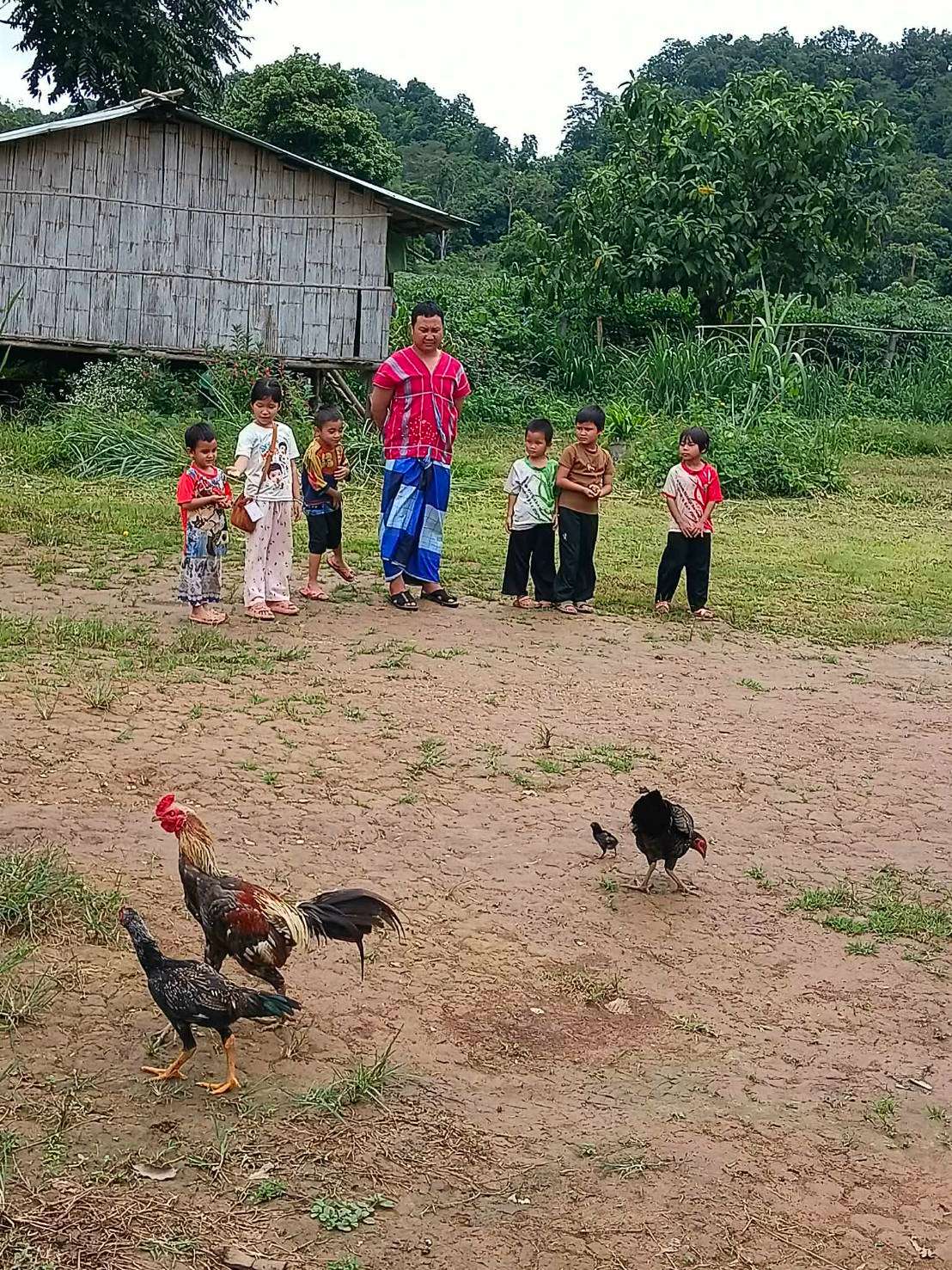 The beginning of the children's journey to raise chickens for food.