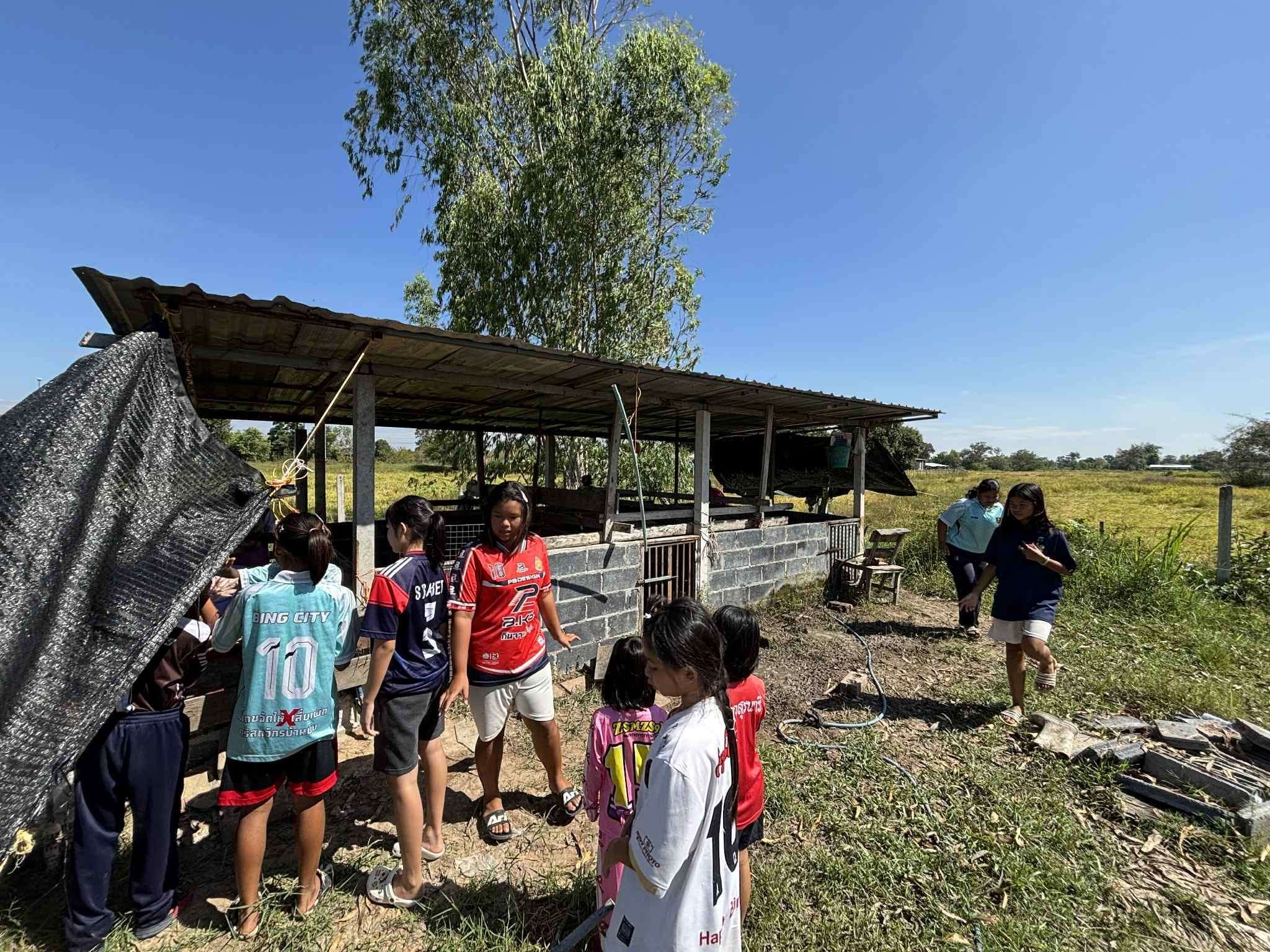 Pig Farming for Families