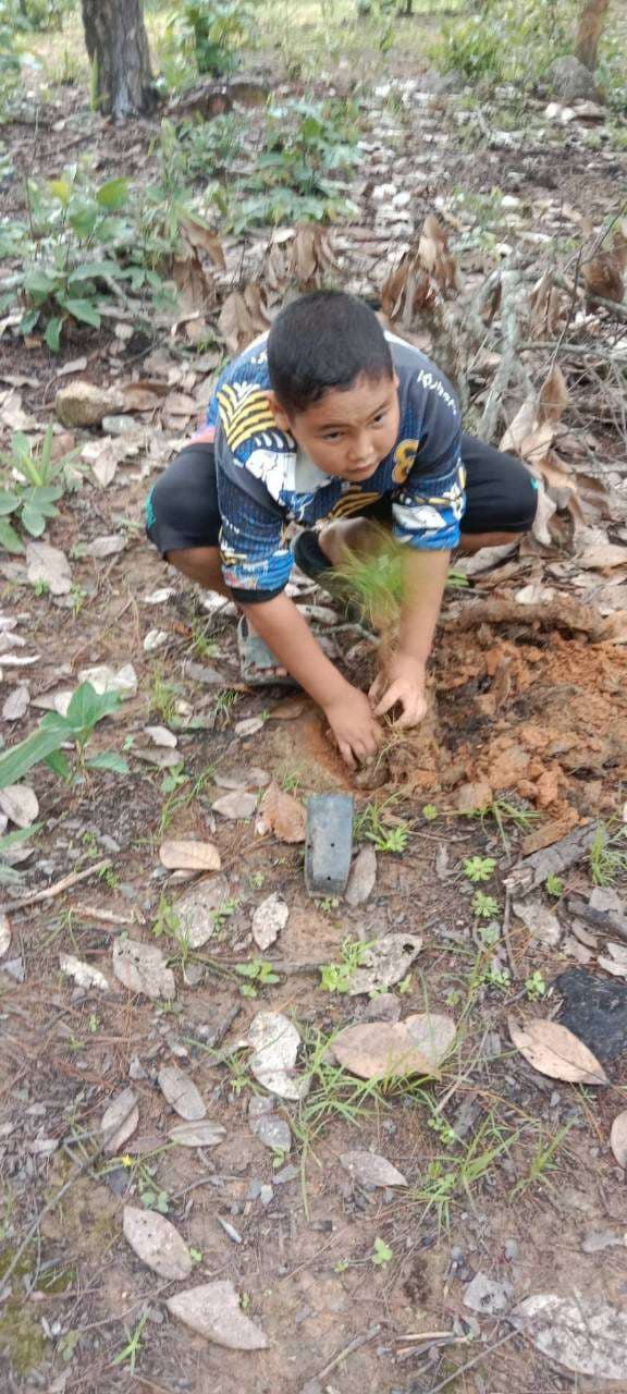 Children plant trees in the upstream forest area.