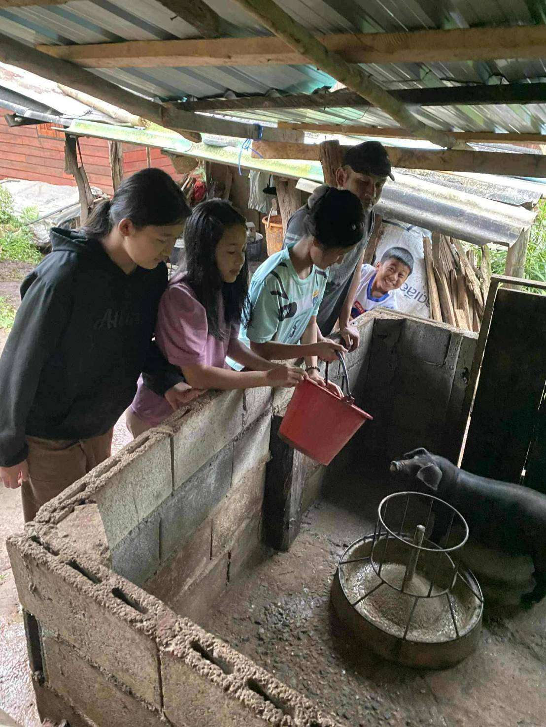Children are pouring food from a bucket for the piglets in the pen.