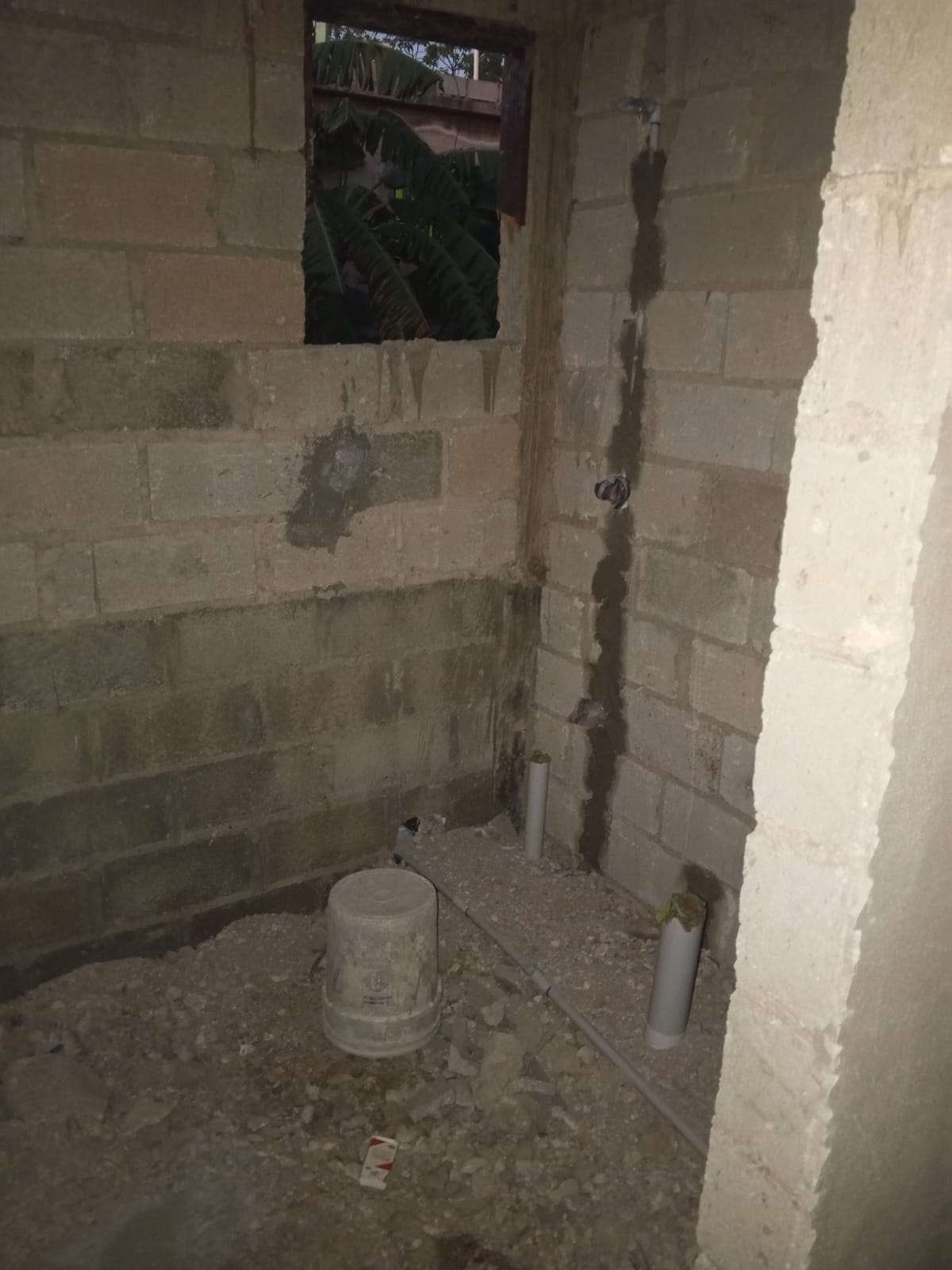 Seven hearts urgently need a home