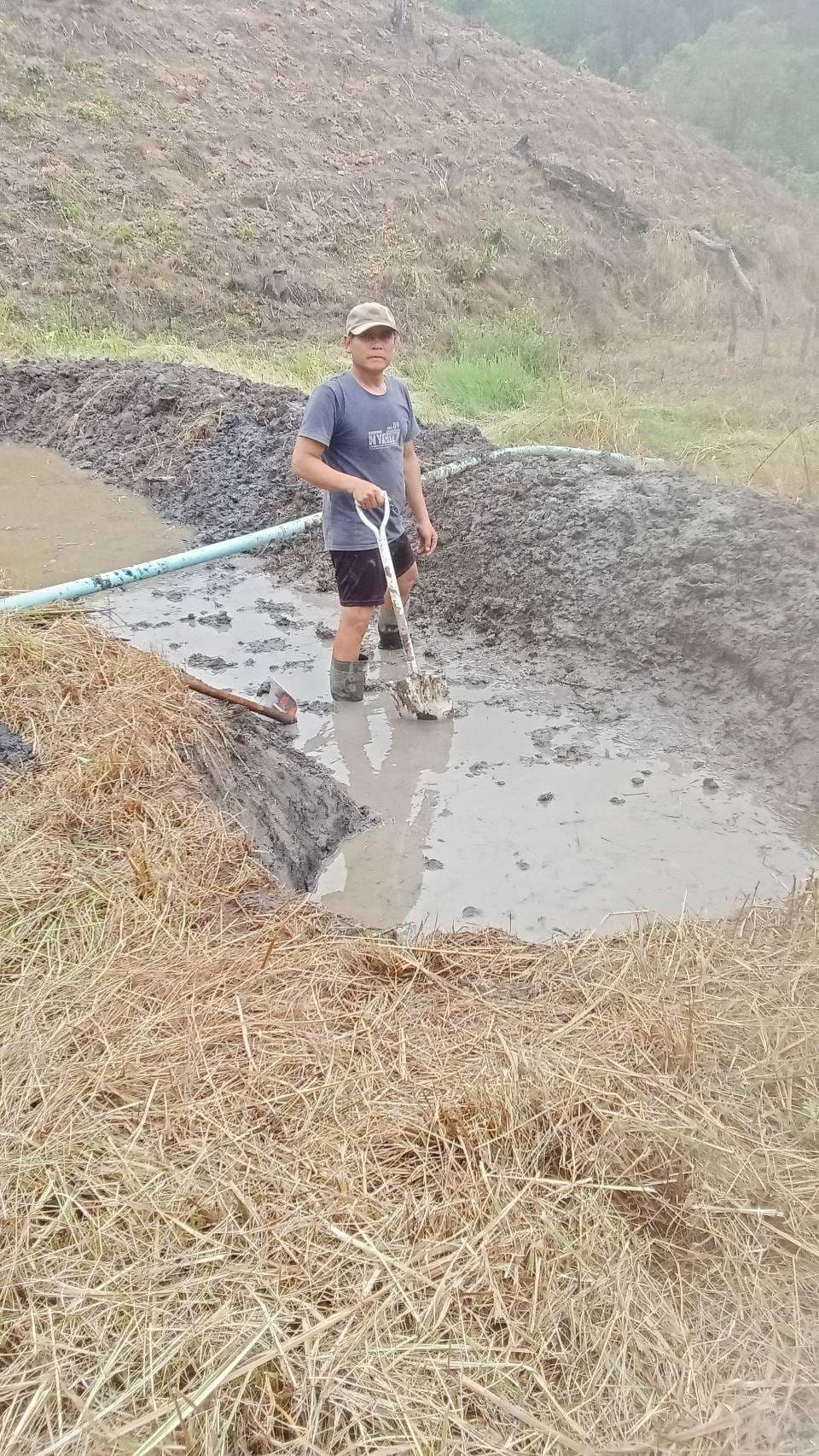 The parents dug a fish pond.