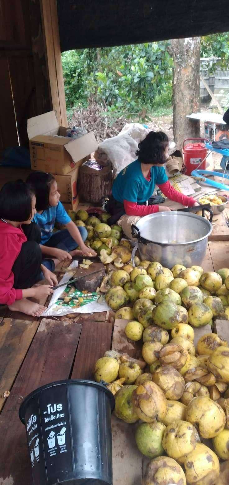 Children and youth actively participating in activities.