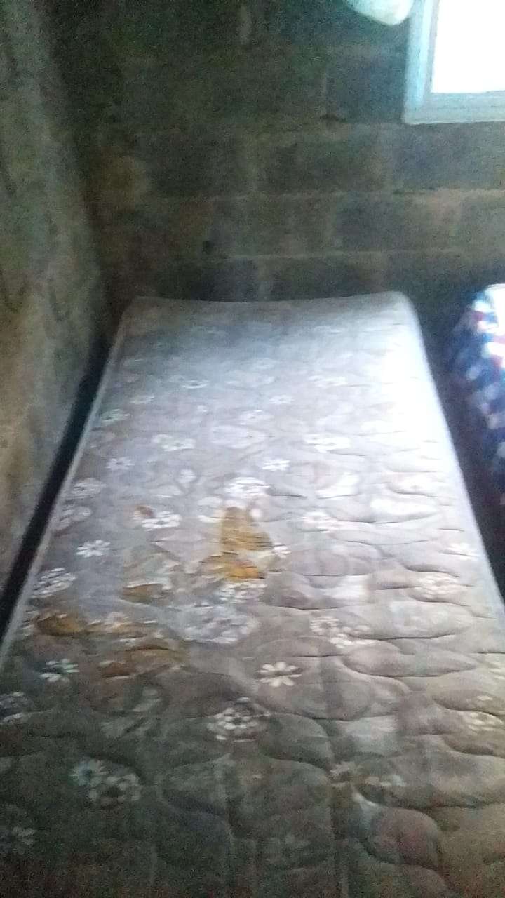 Hands that Bless, Beds that Transform
