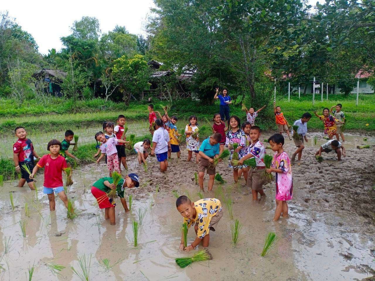A fun day learning about healthy rice crops