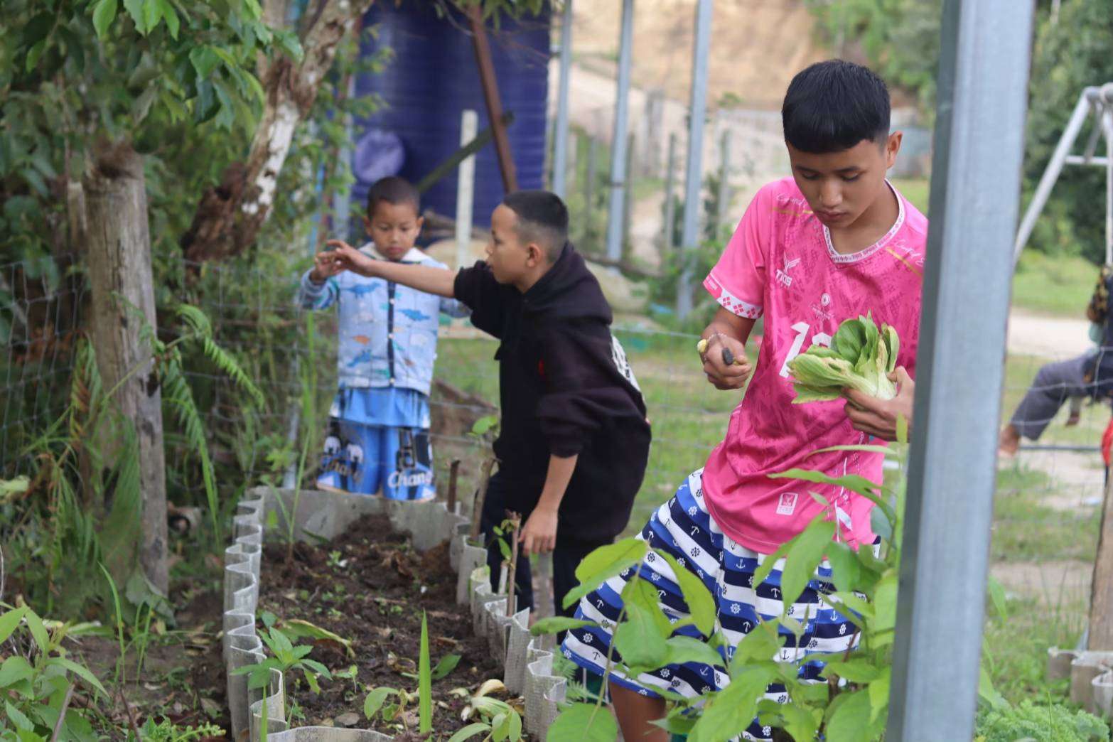 Children learn how to plant vegetables.