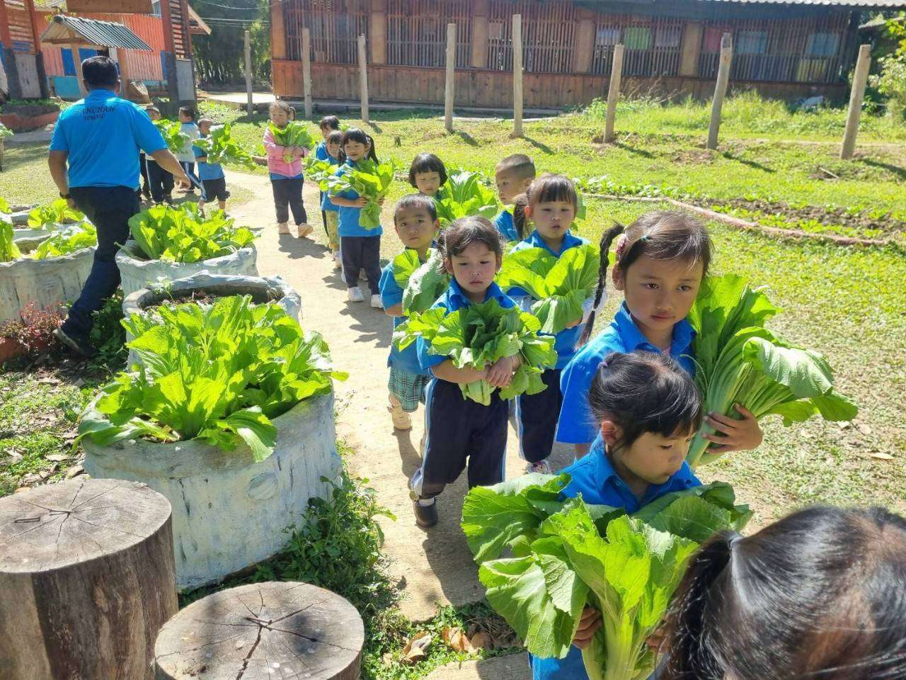 Bringing in the harvest for a healthy meal