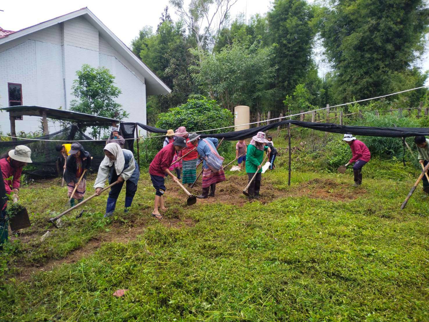 The church has designated space for growing hydroponic vegetables.