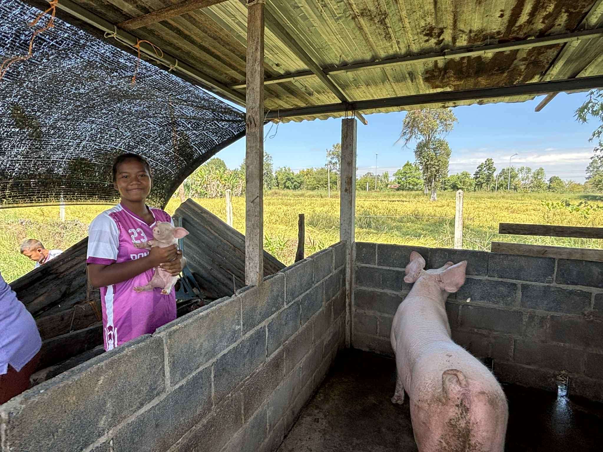 Pig Farming for Families