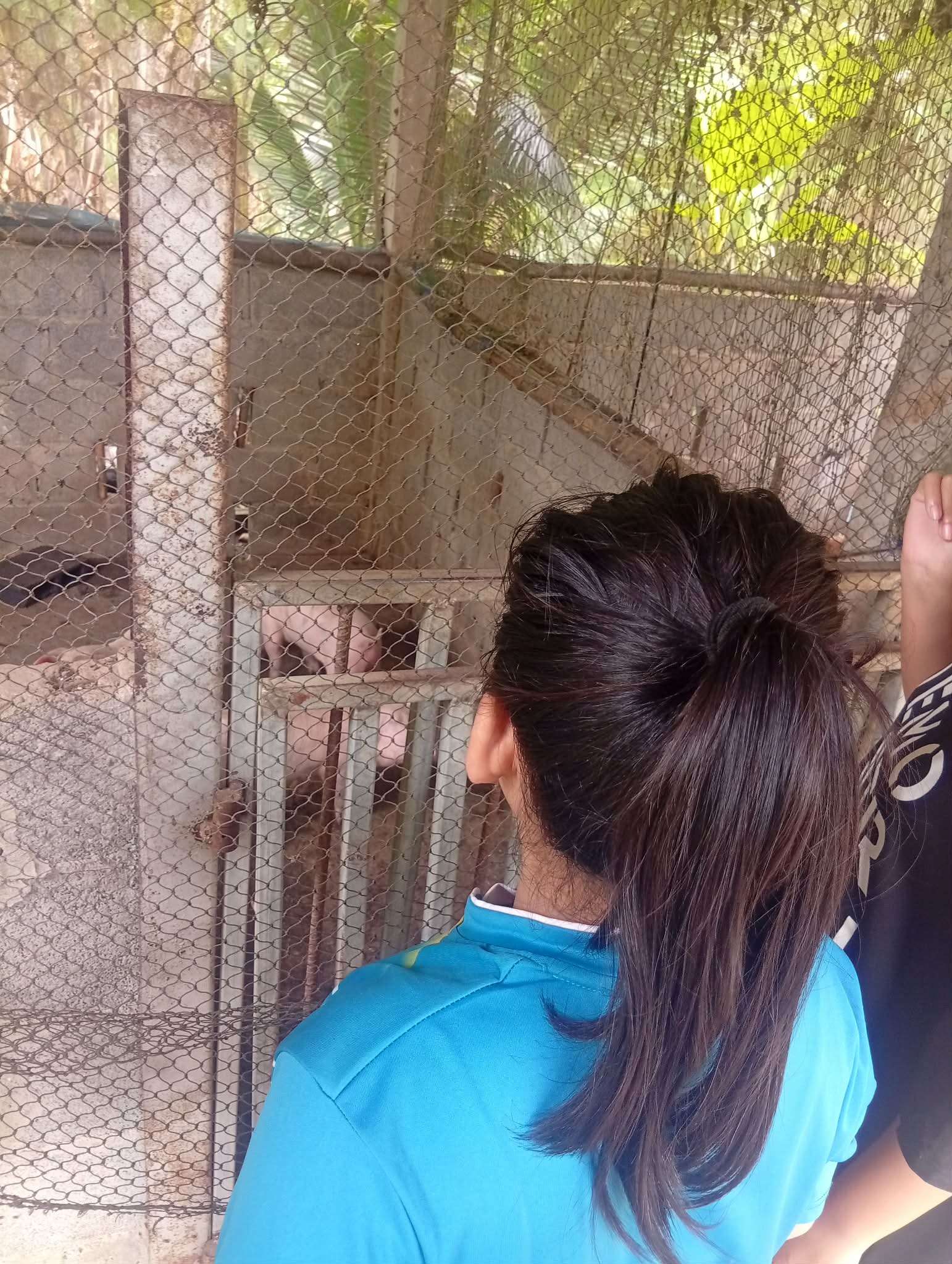 Children shown the interest to raise a pig.