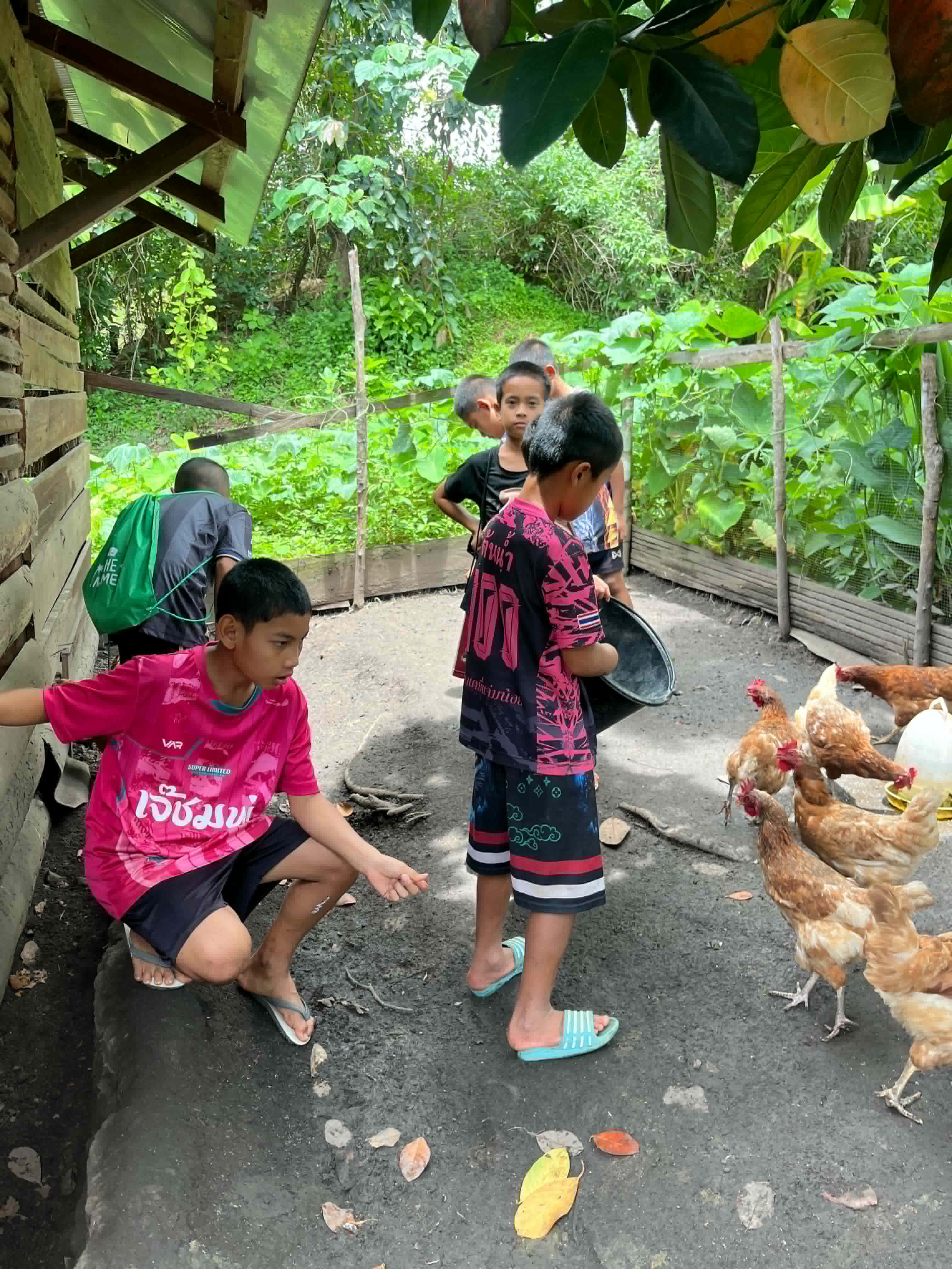 Children in the community are feeding chickens.