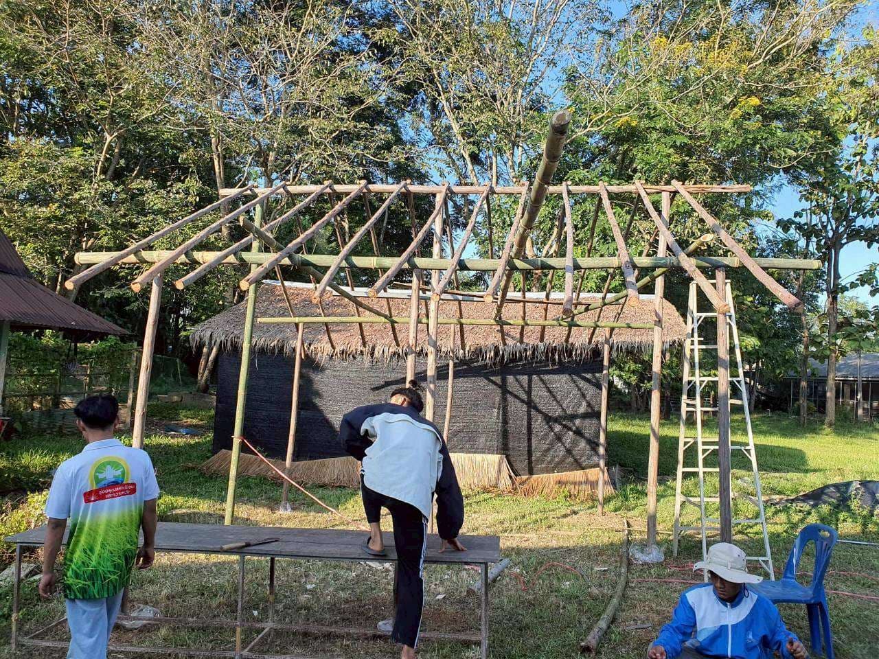 Expand the mushroom farm to a second one.