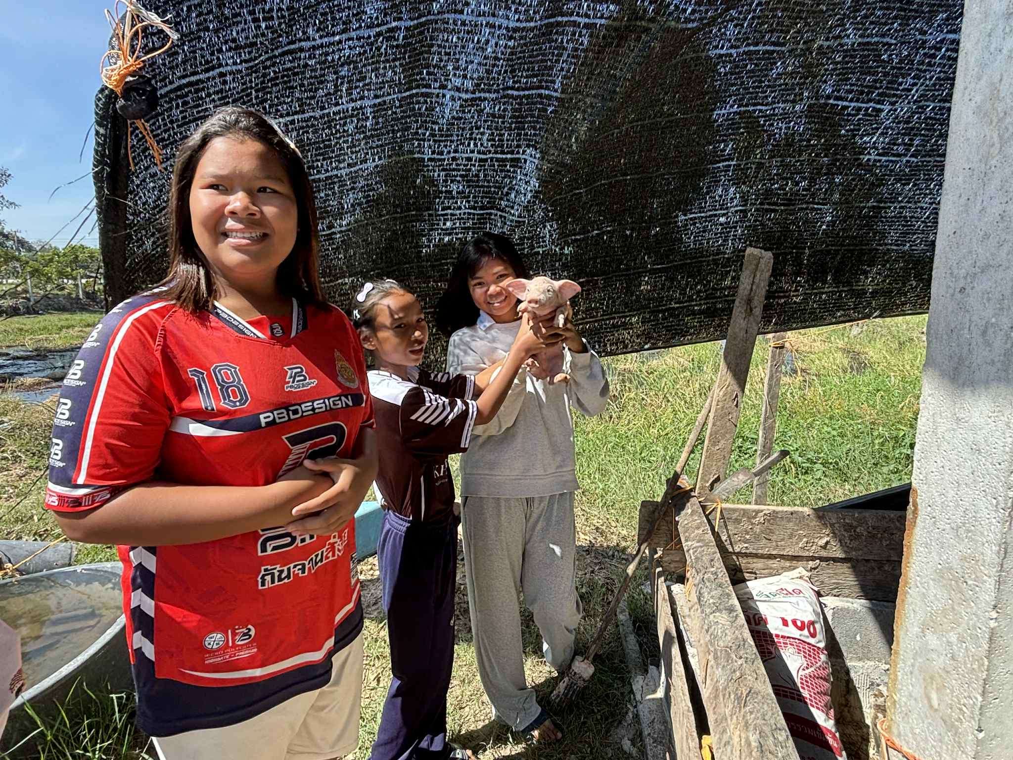 Pig Farming for Families