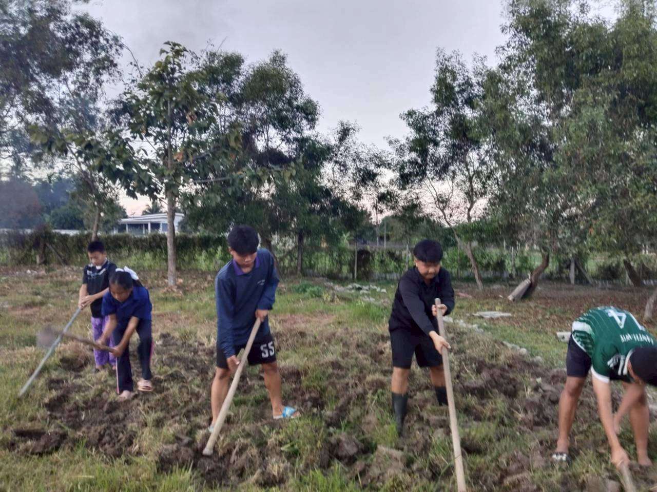 Prepare the area for planting vegetables.