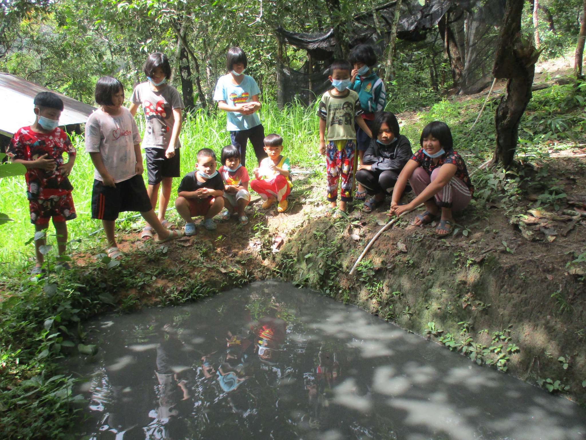 Community fish pond