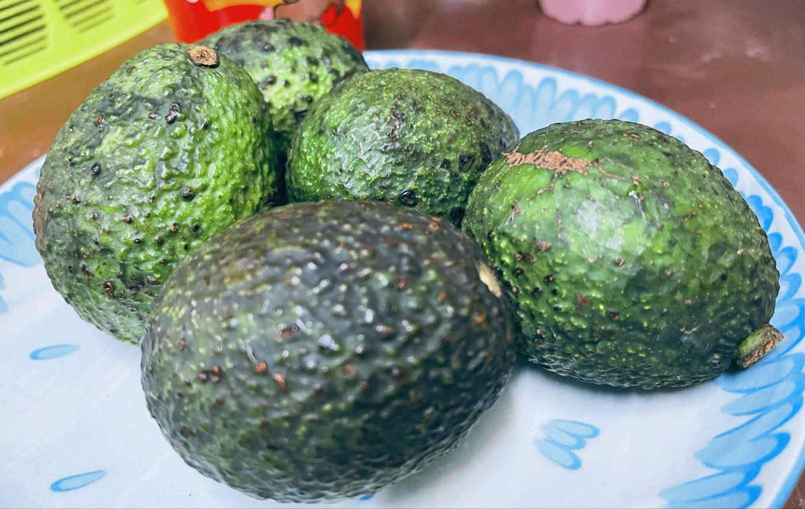 Avocados ready for processing.