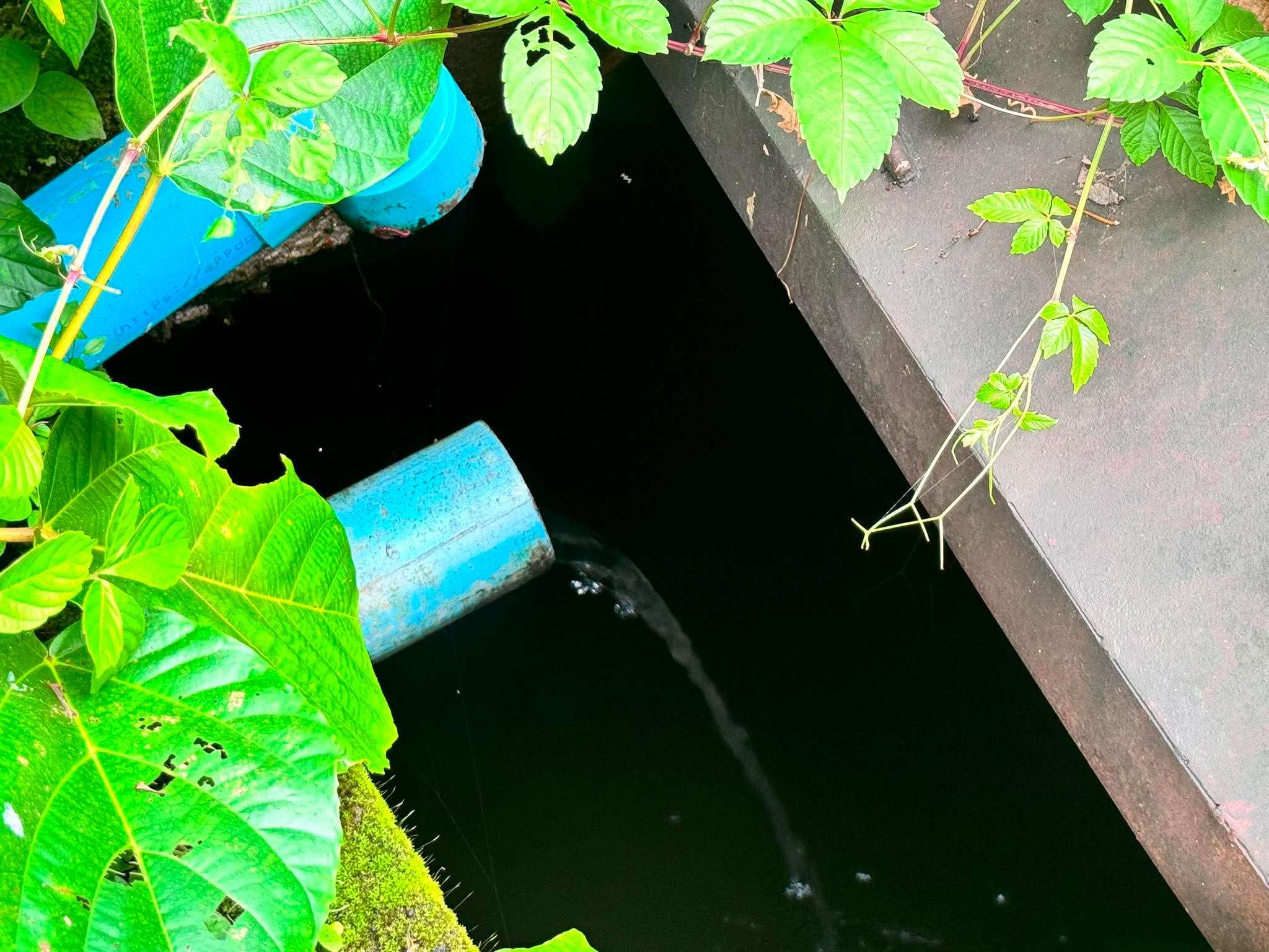 The water flows down into the water tank.
