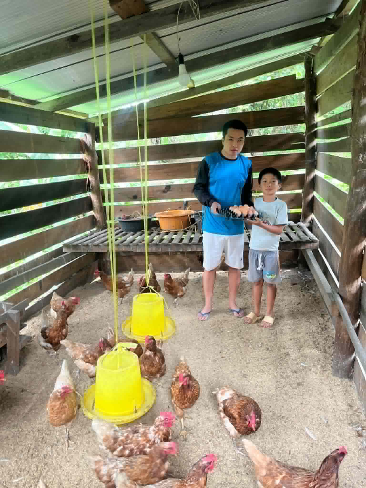 Phurinat and his younger brother collecting chicken eggs.