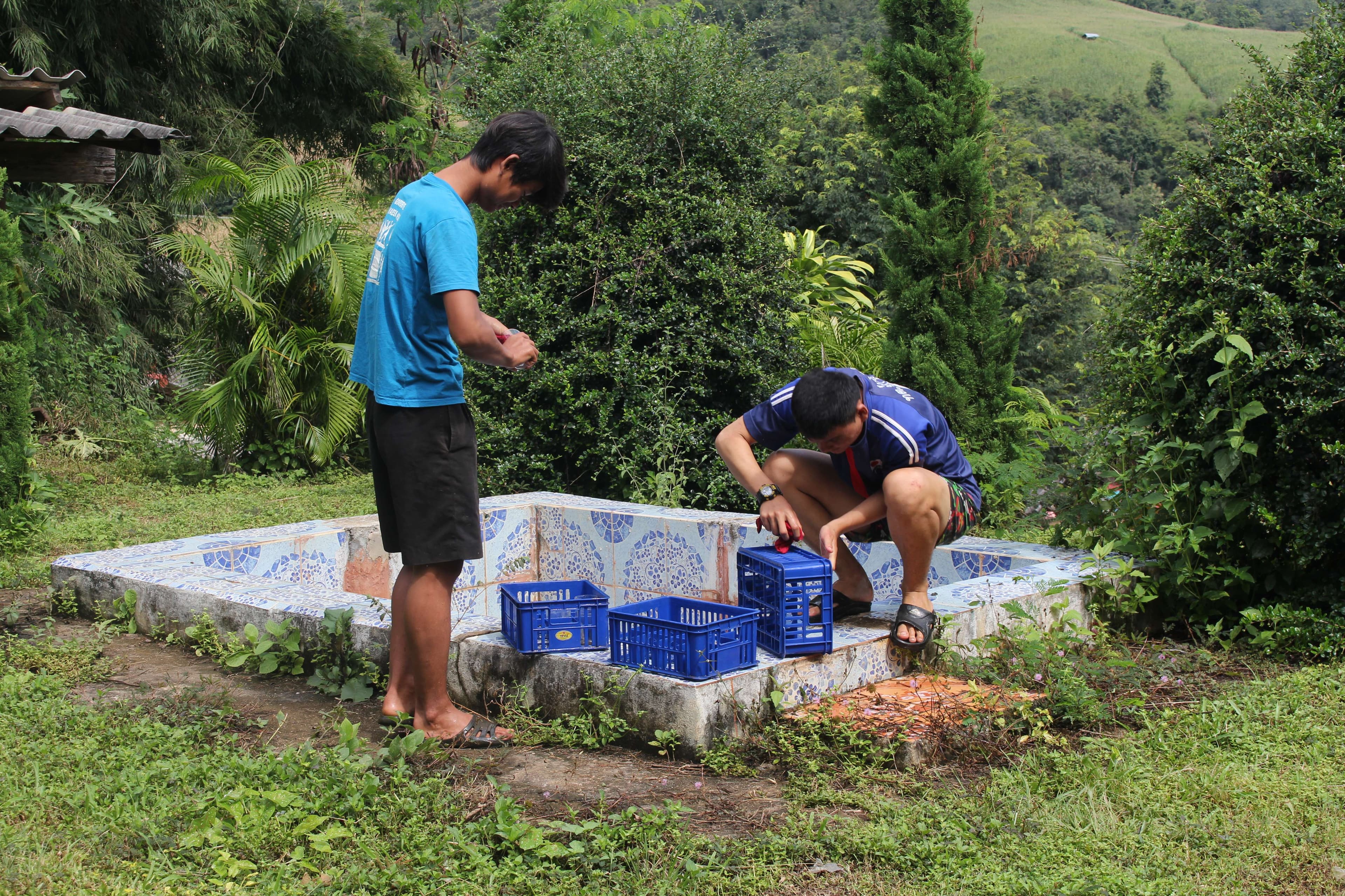 Children are cleaning the containers.