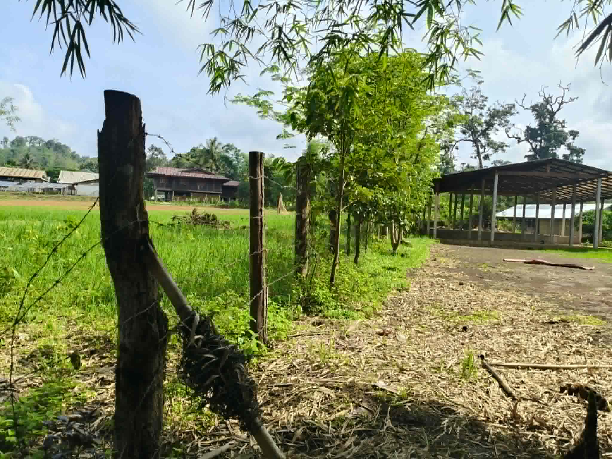 The community currently uses barbed wire fences as a primary form of boundary protection.