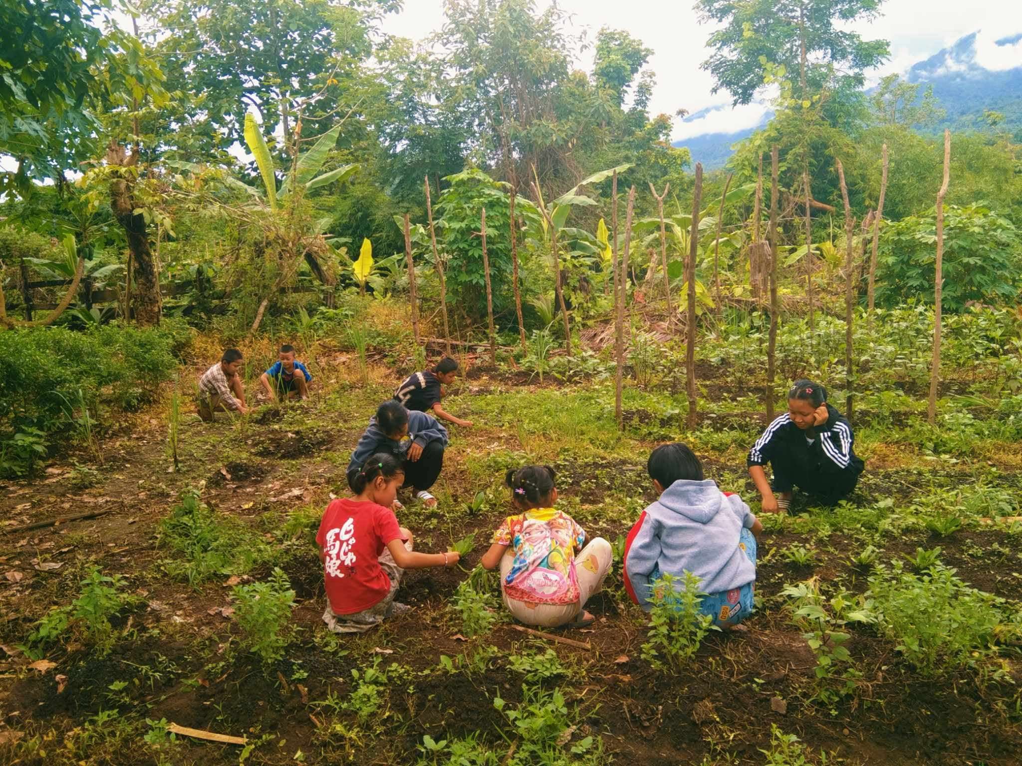 Happy children pulling weeds to help revive and nurture seedlings, planting the seeds.