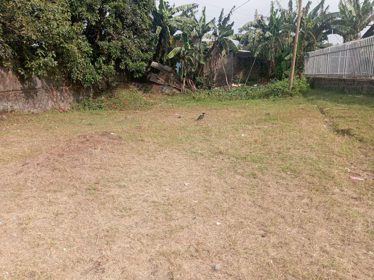 The land will be used for the construction of the toilet.