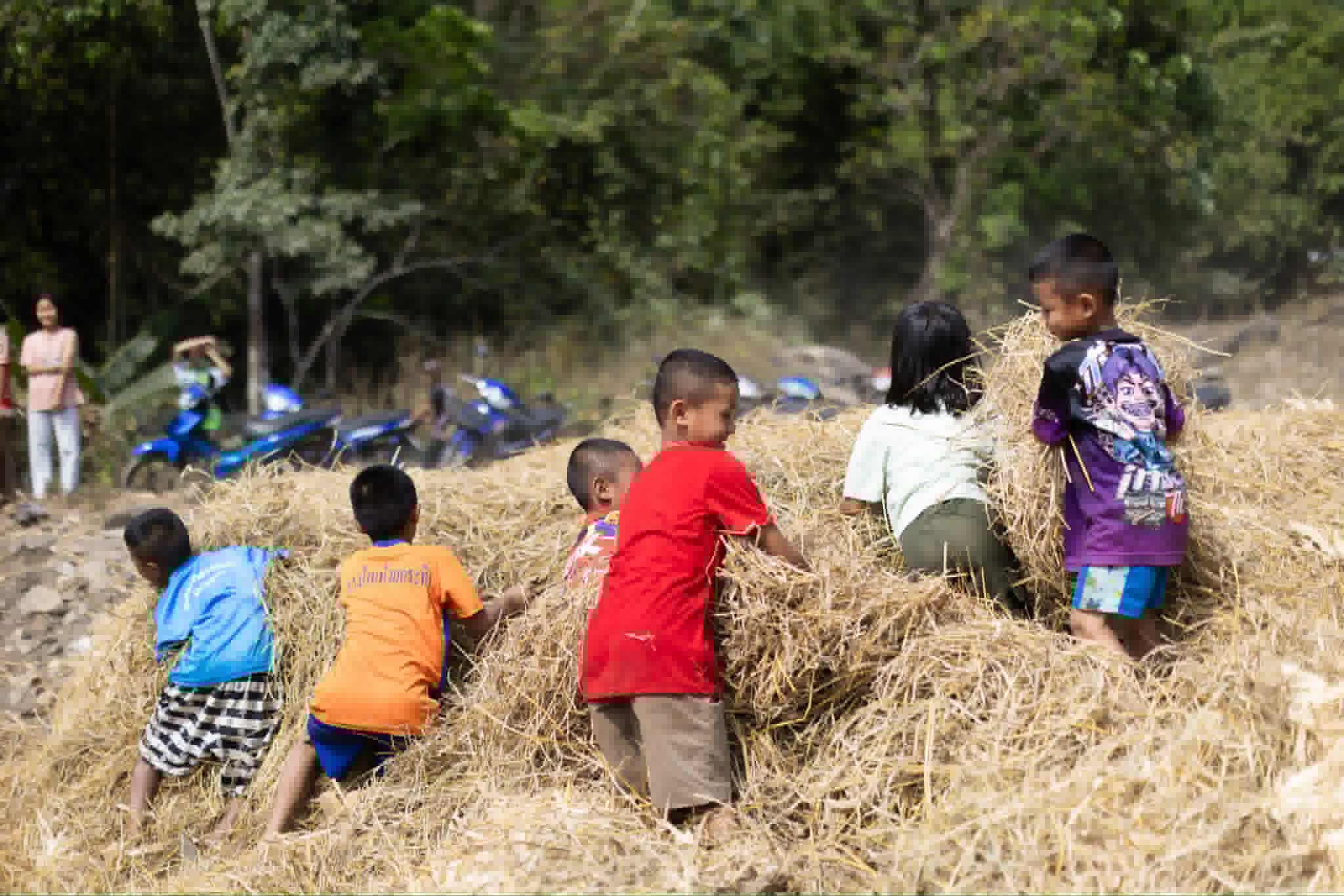 Young children engage by watching, playing, and learning together.