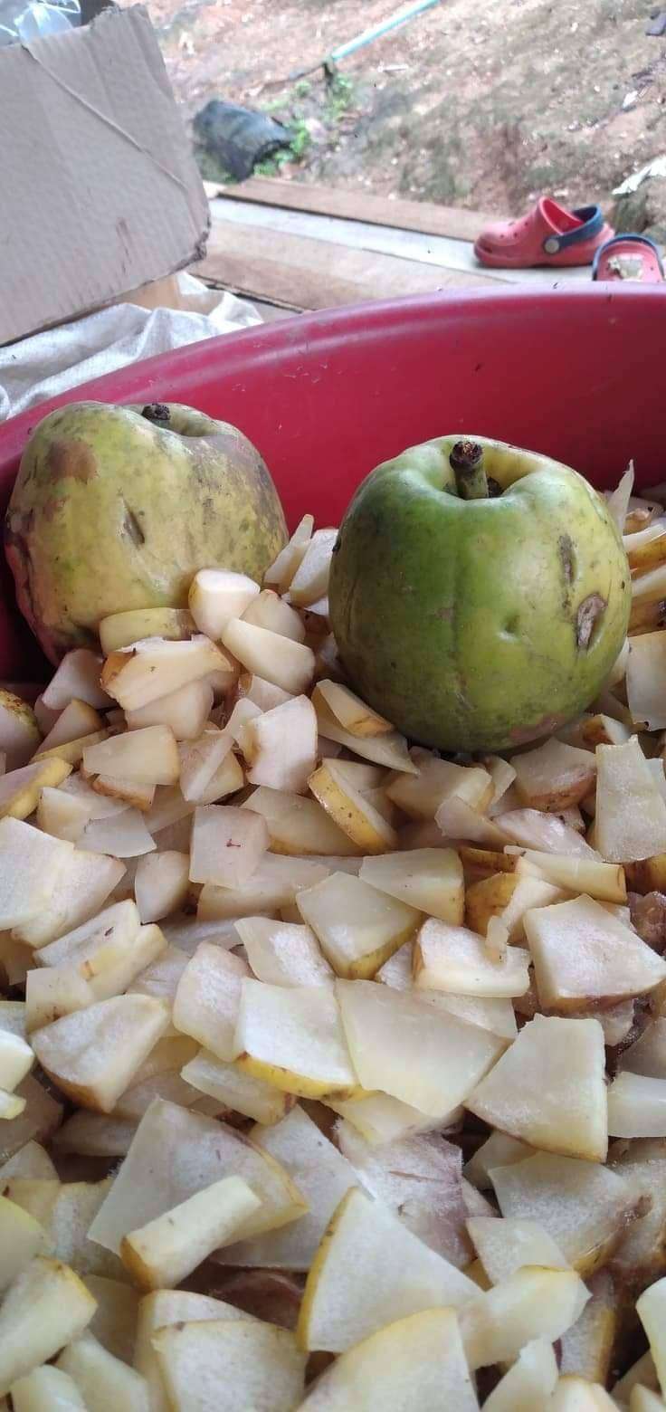 Raw materials used in the herbal processing project.
