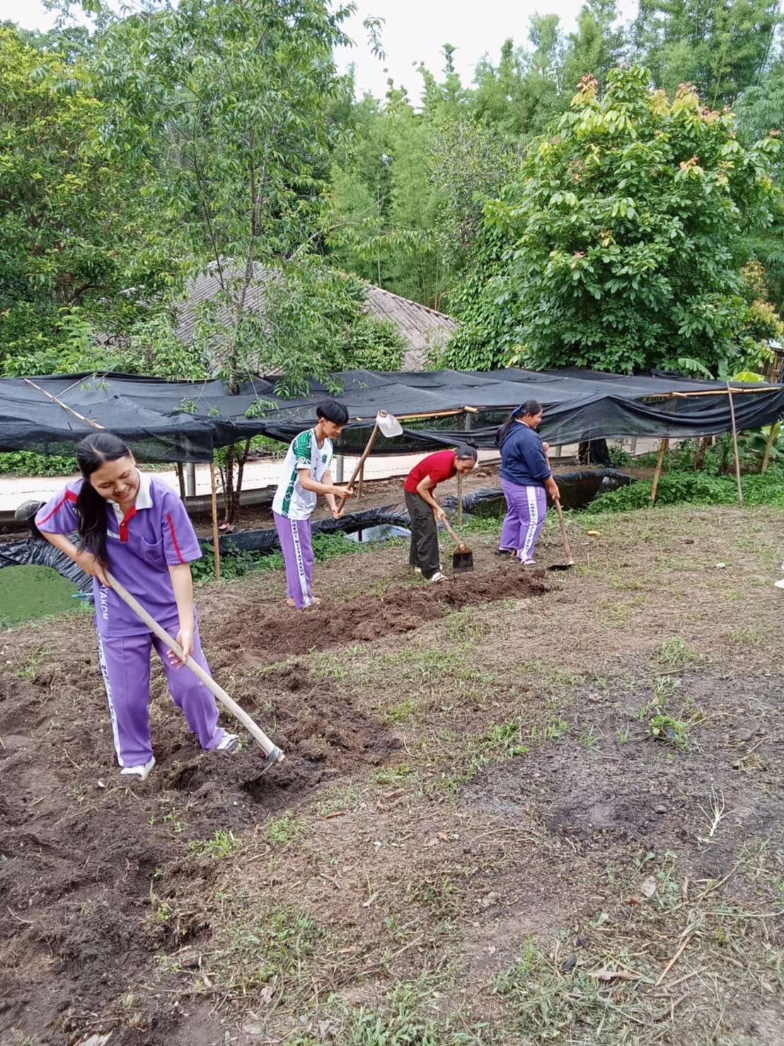 Children learn to grow vegetables, passing down skills and knowledge from their parents.