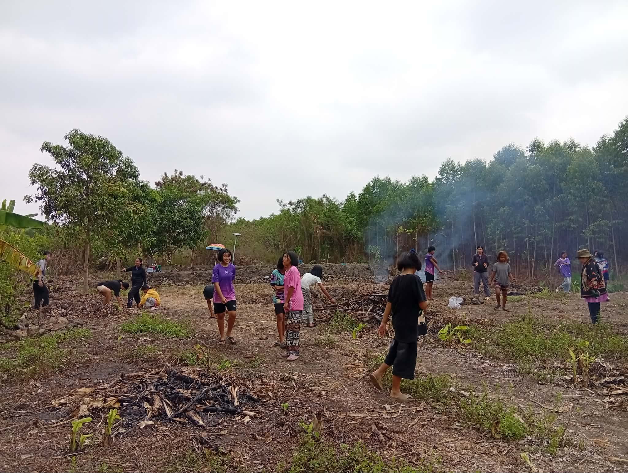 Clear the land to prepare for planting vegetables.