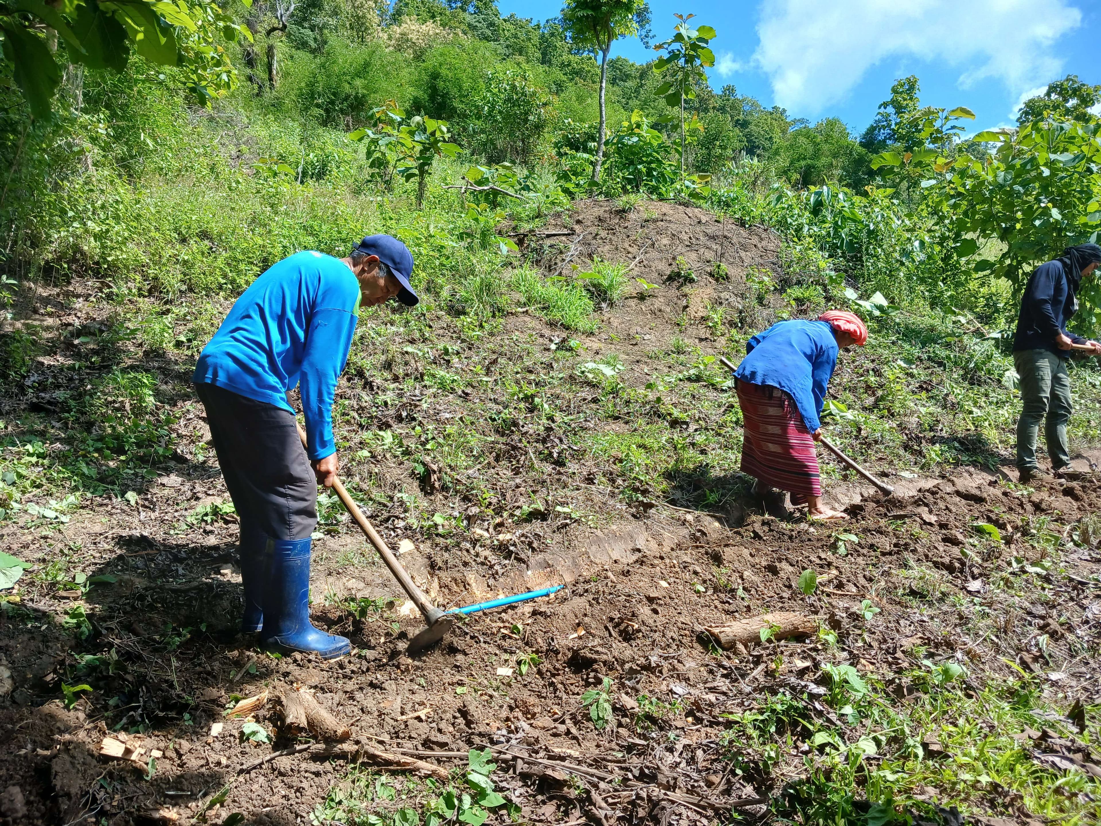 Pipes were laid from the mountain down to the village.